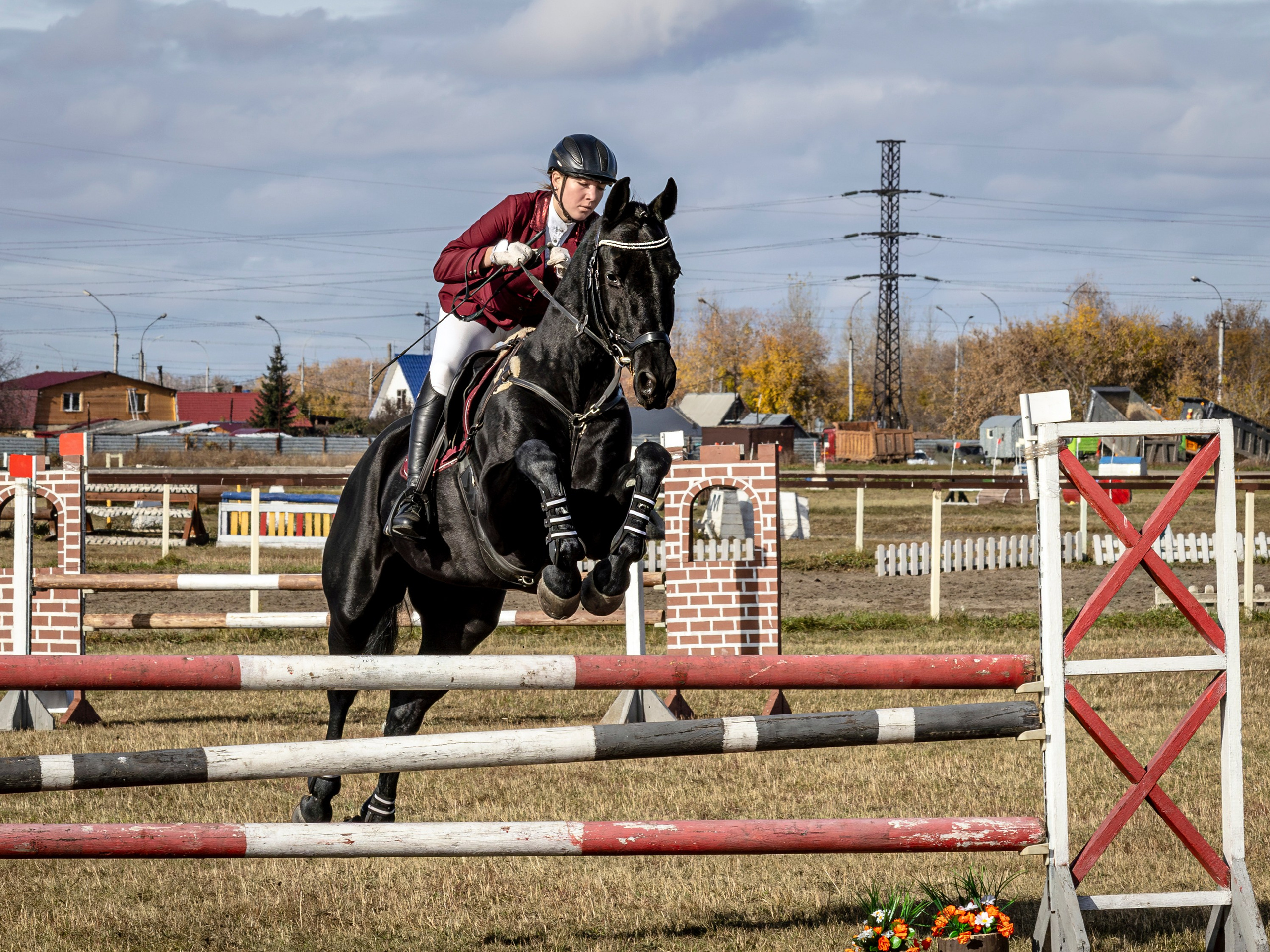 Конкур. Bertran Ordo