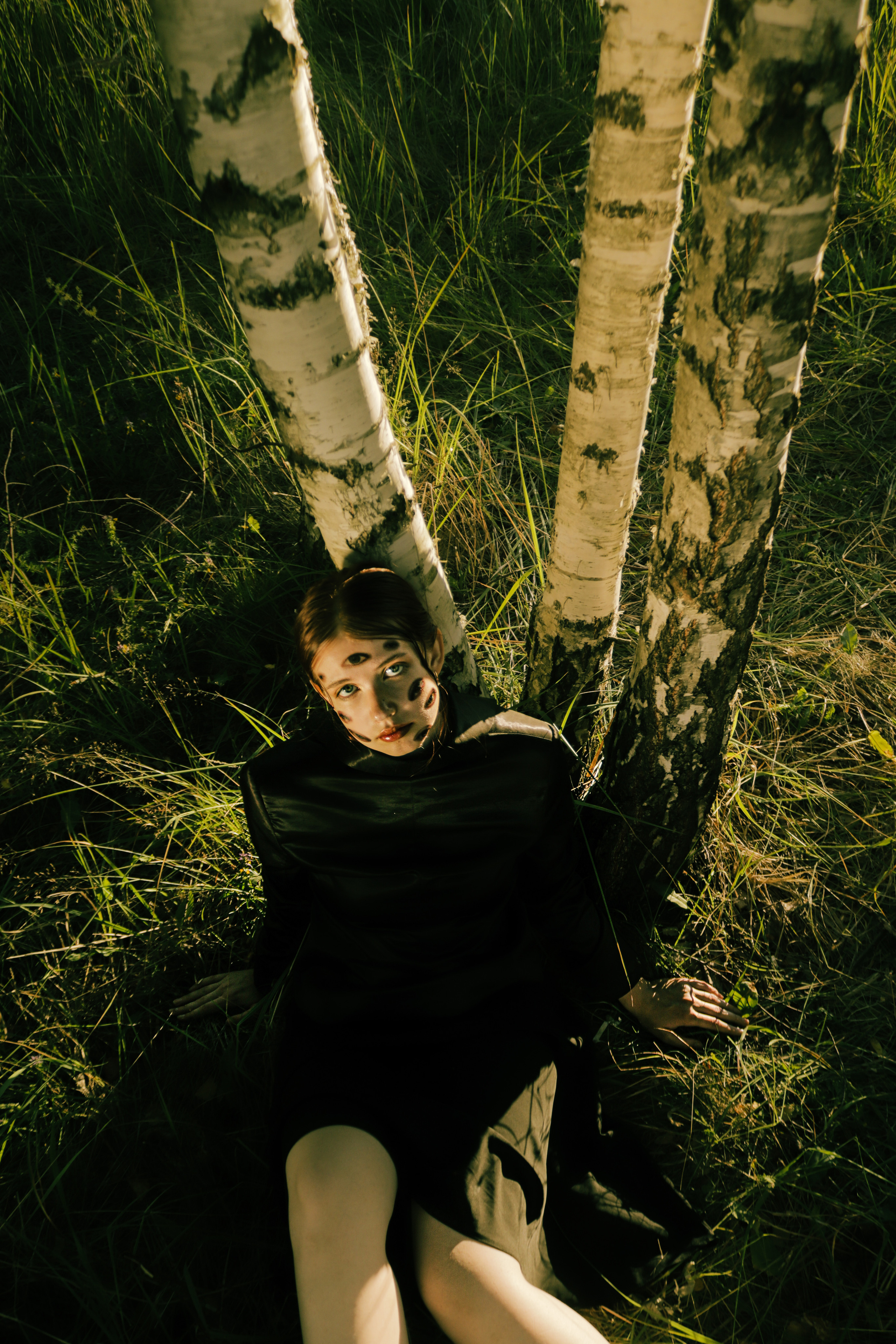 Birches. Полина Щапова БМК235 Медиаком — НИУ ВШЭ