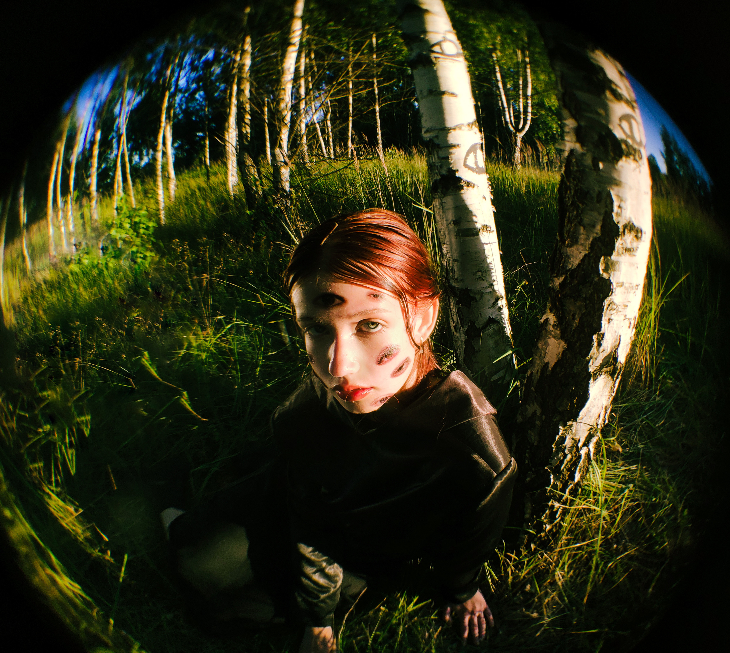 Birches. Полина Щапова БМК235 Медиаком — НИУ ВШЭ