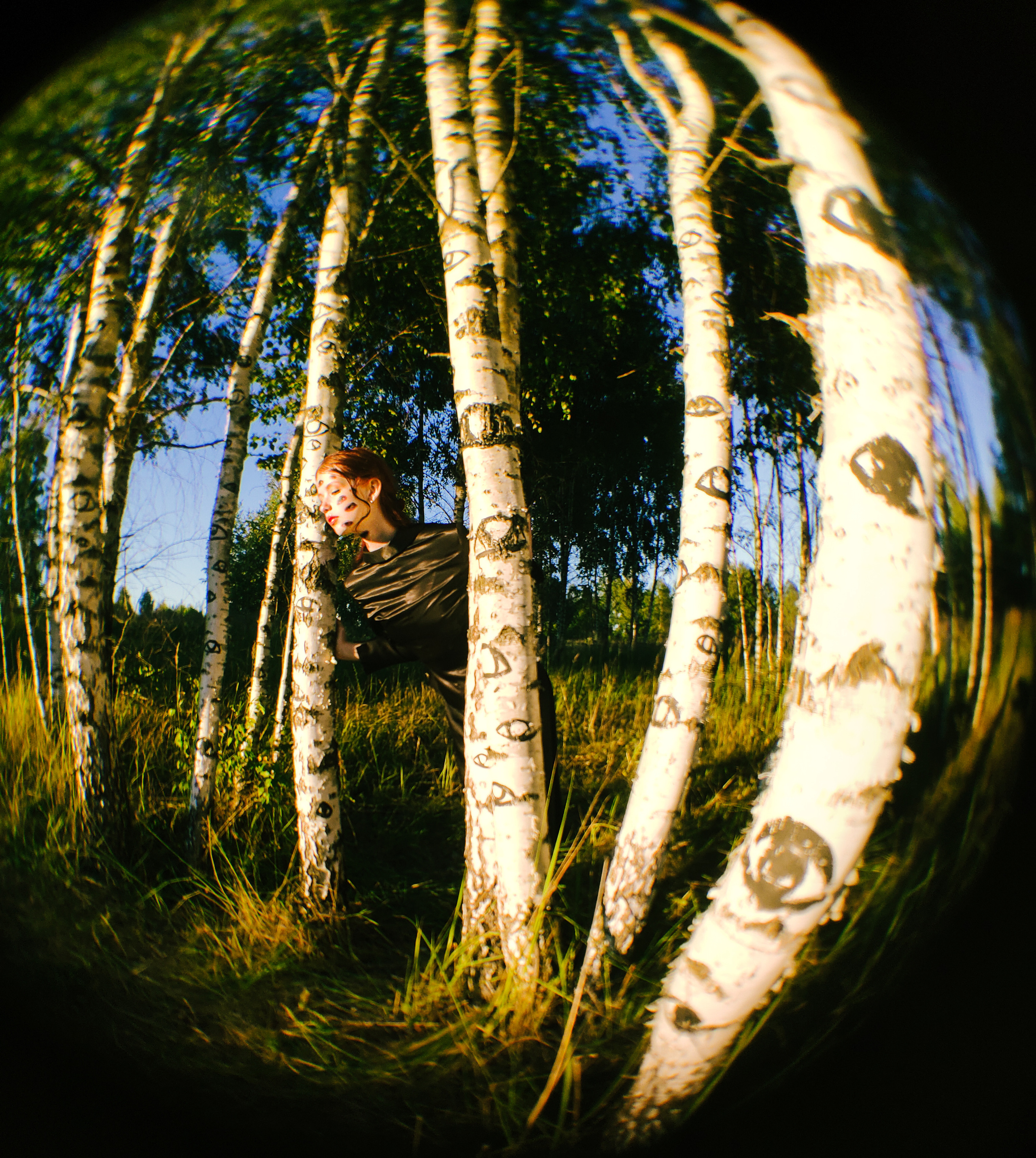 Birches. Полина Щапова БМК235 Медиаком — НИУ ВШЭ