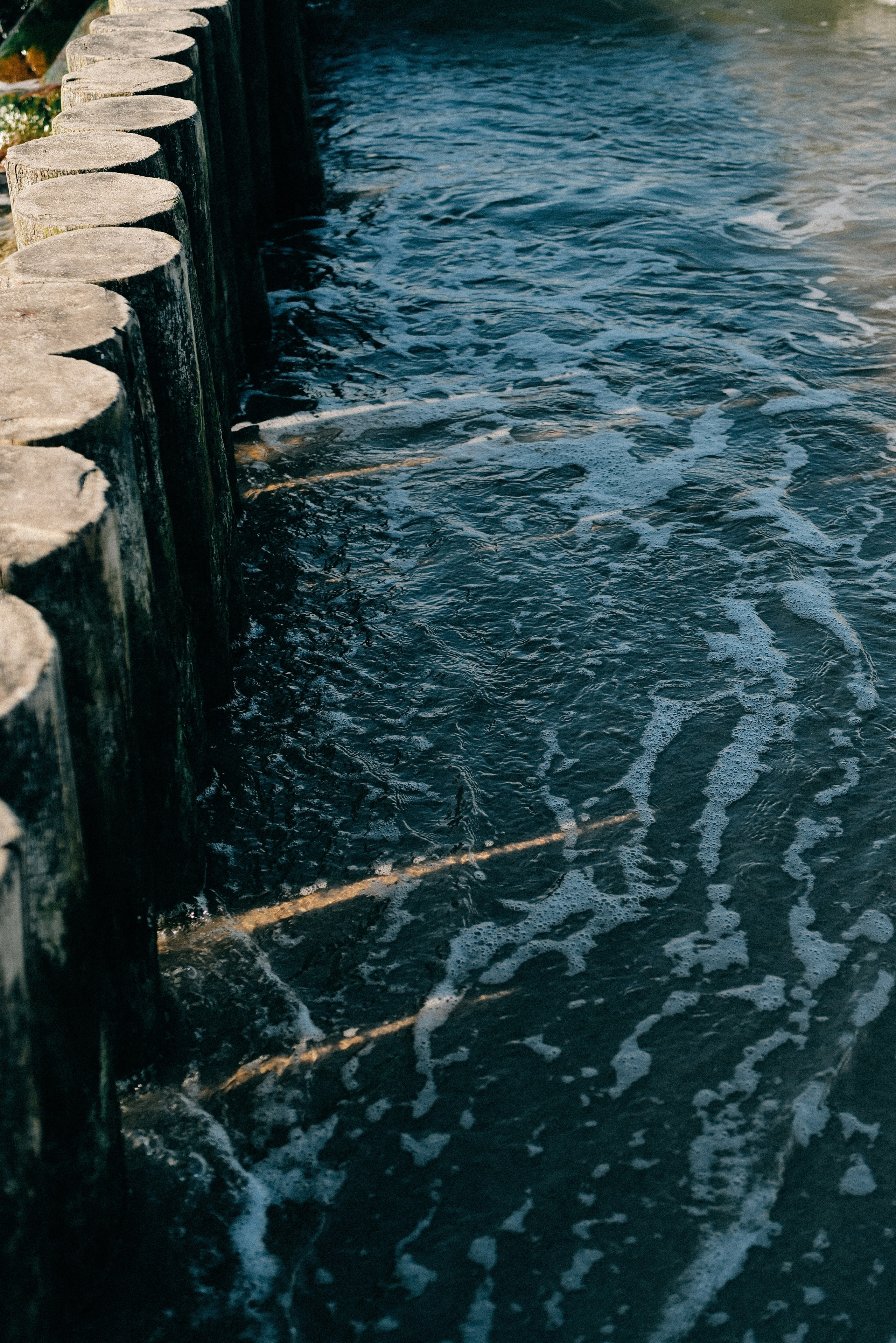 Zelenogradsk. Фотограф София Комкина