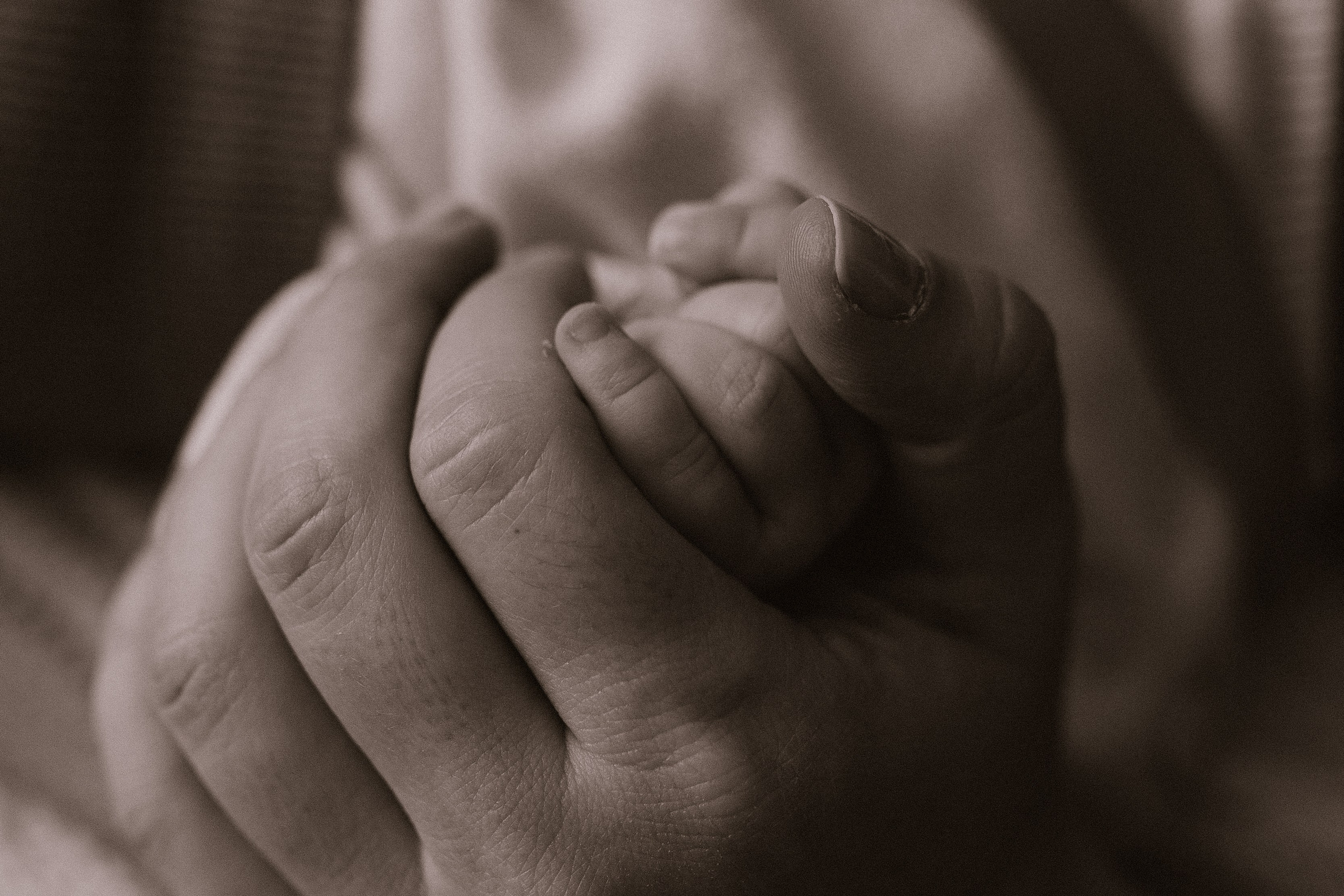 Первое Рождество Ярослава. Семейный фотограф в Новороссийске и Анапе Александра Яковлева