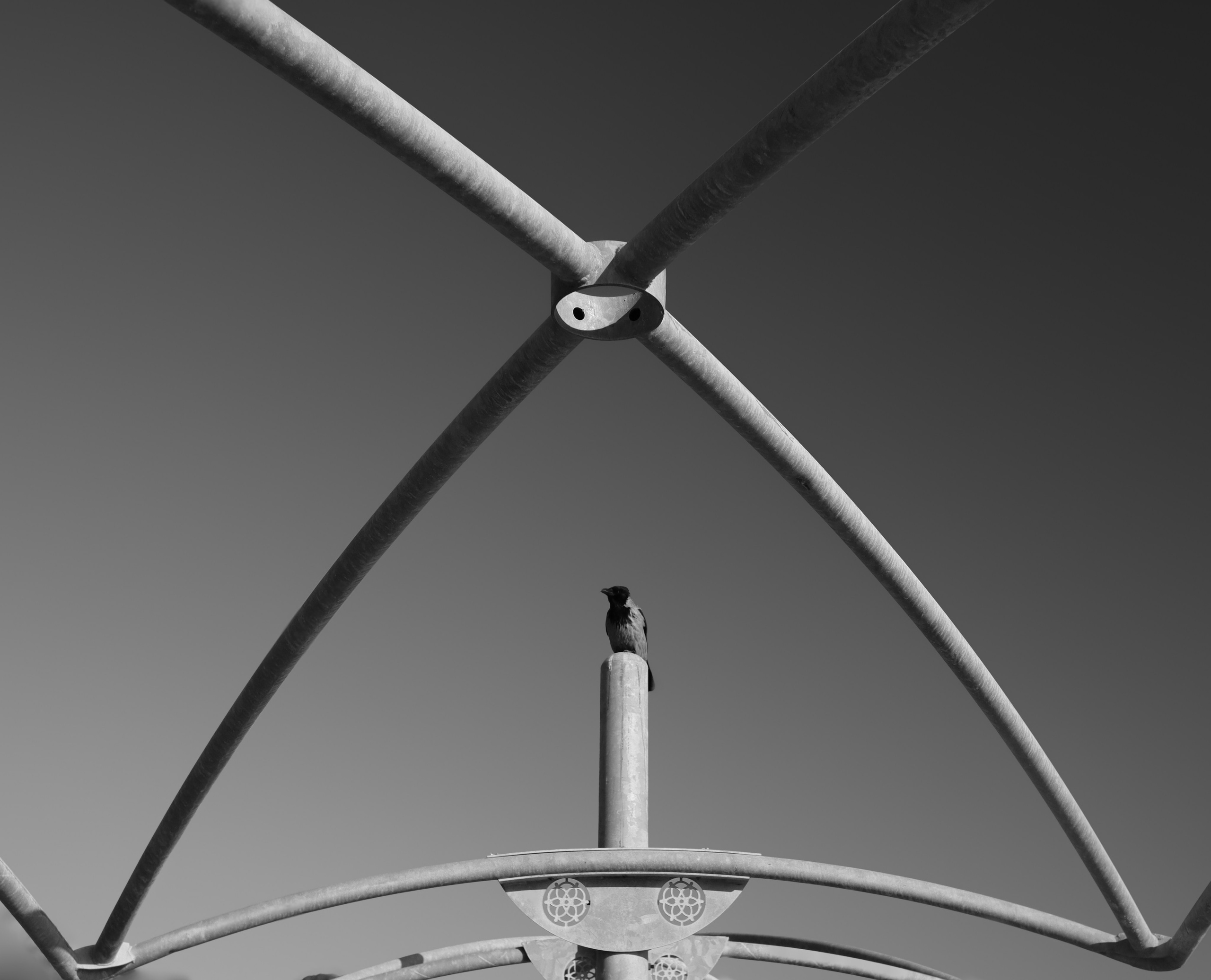 СТРИТ / ТРЕВЕЛ. Семейный и travel-фотограф из Израиля