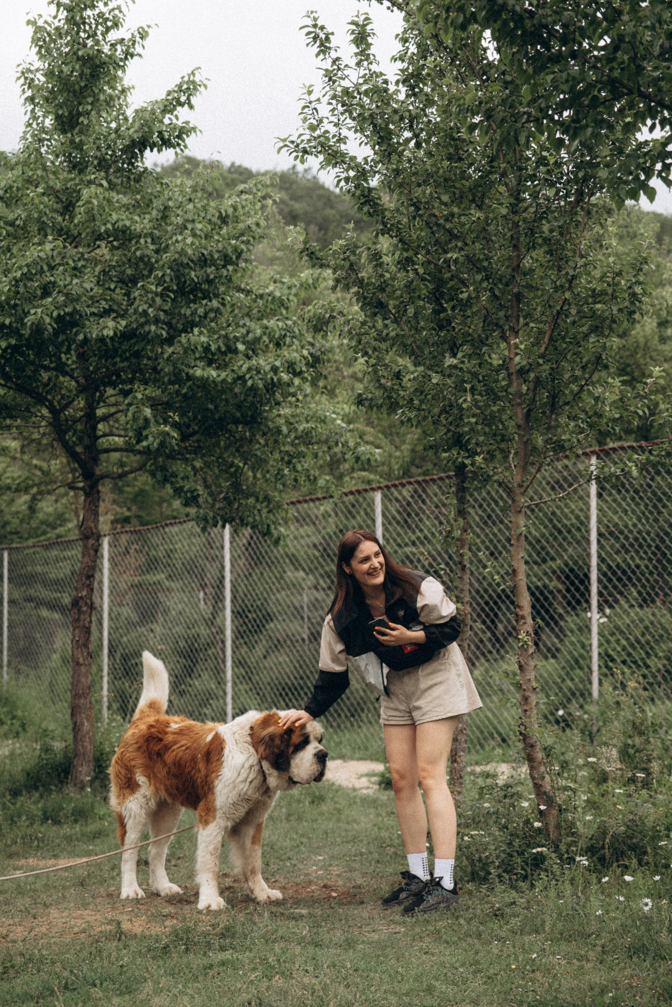 Медвежий приют, Грузия 🇬🇪. Anita_photo