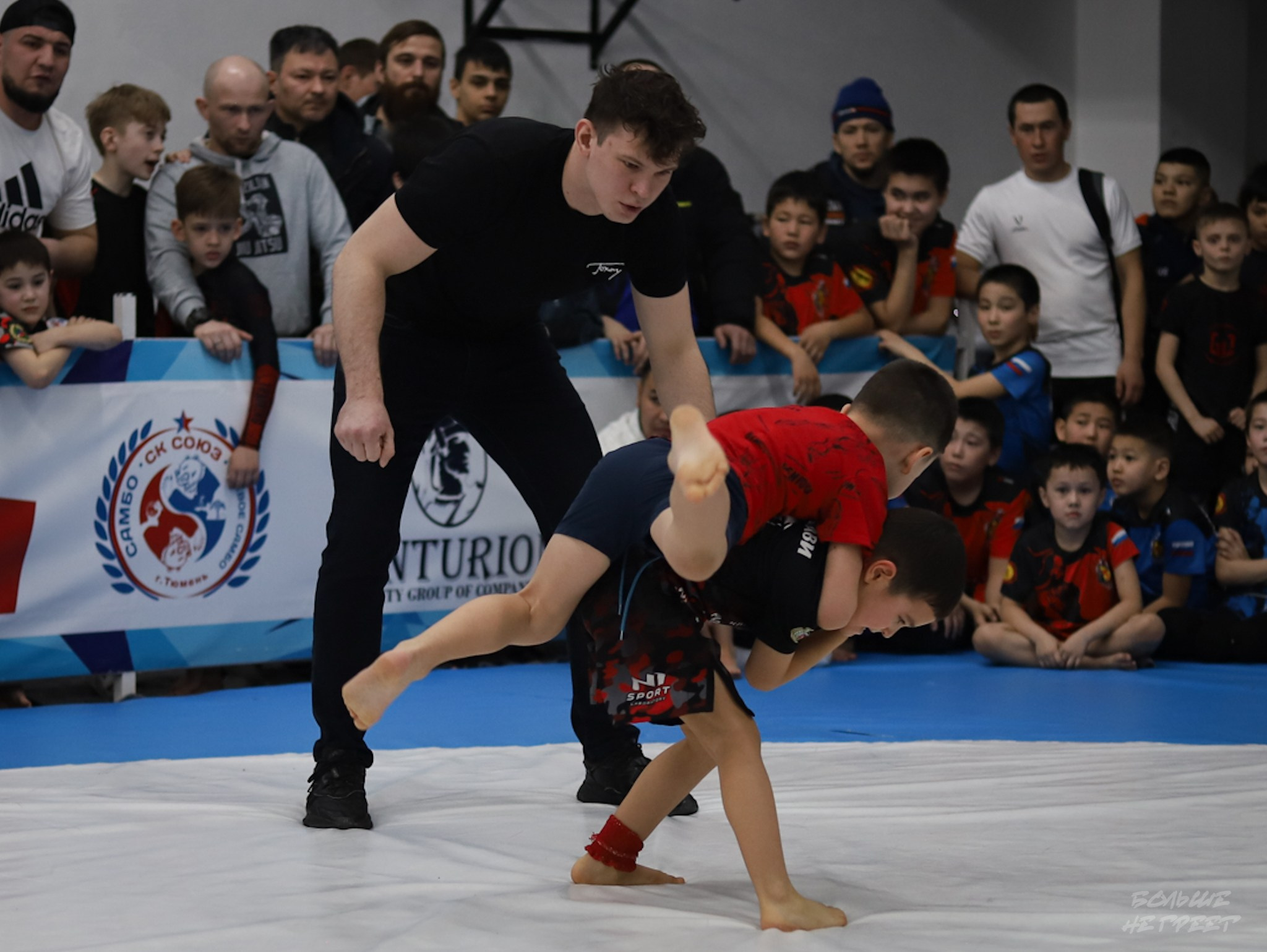 GORILLA PRIDE CUP. Больше не греет