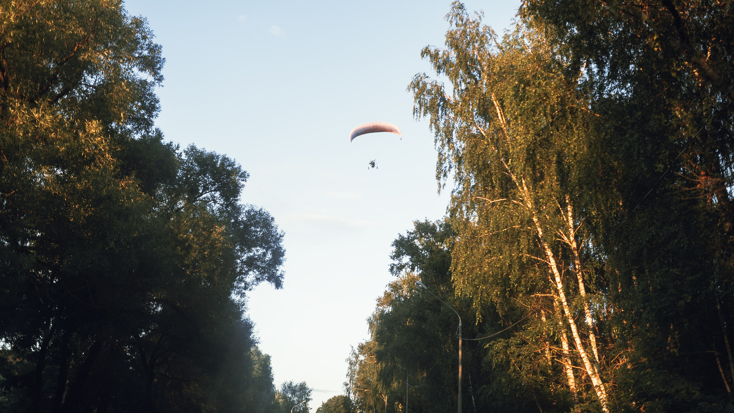 Невидимый спектр. Komonev