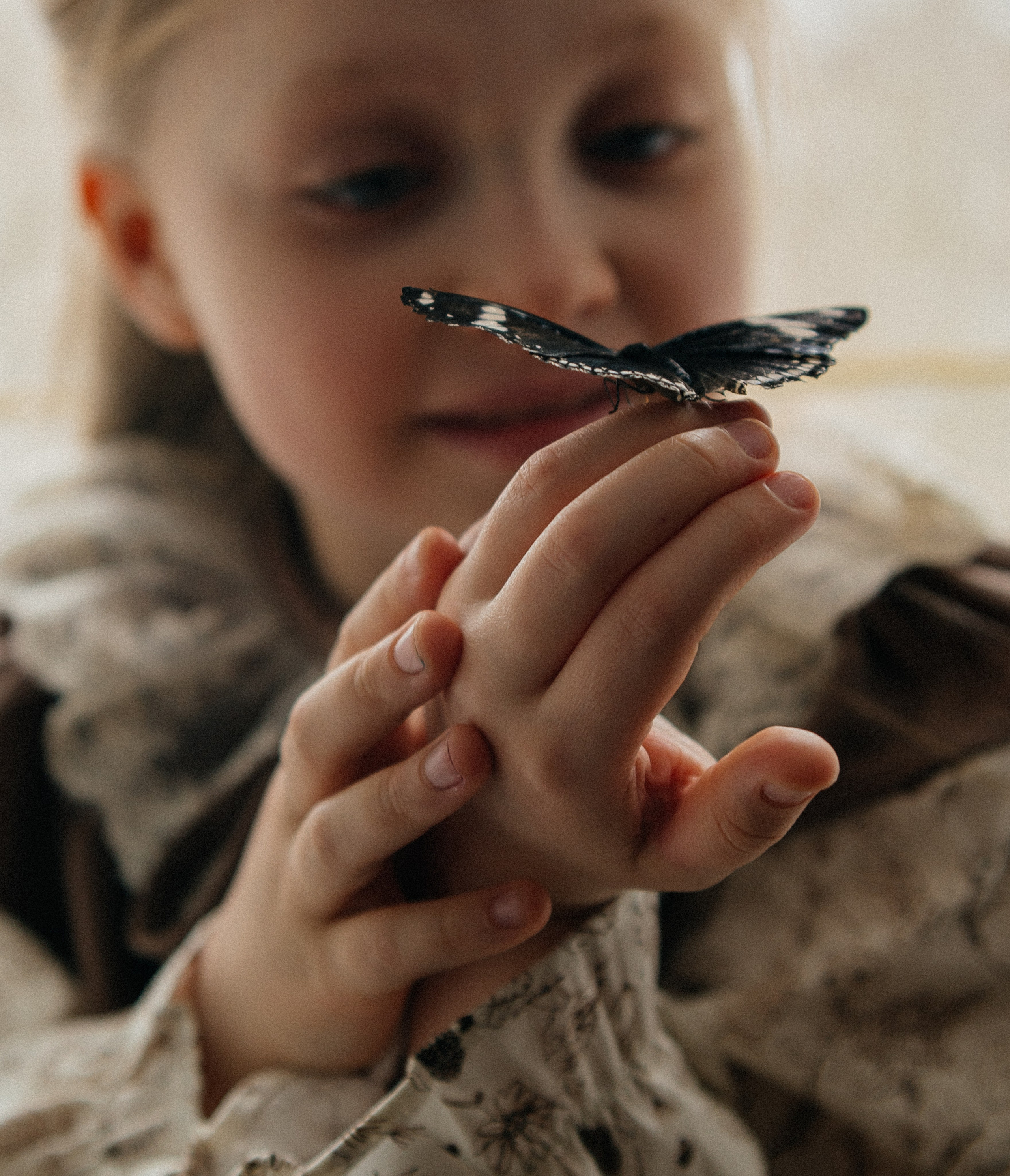 Butterfly. FotoTanya. Раменское/Жуковский/Бронницы