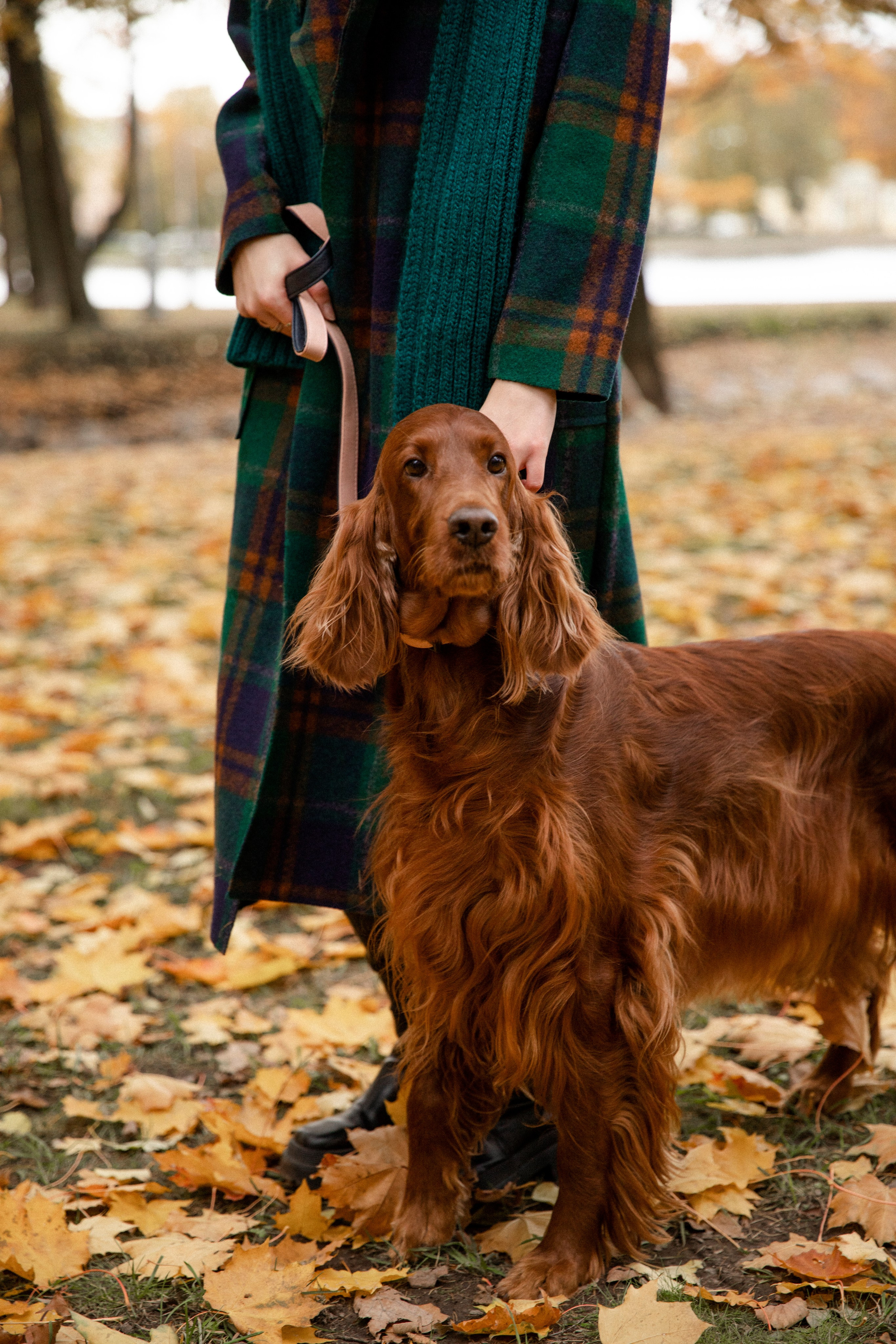 Валерия и Артур. Свадебный и портретный фотограф
