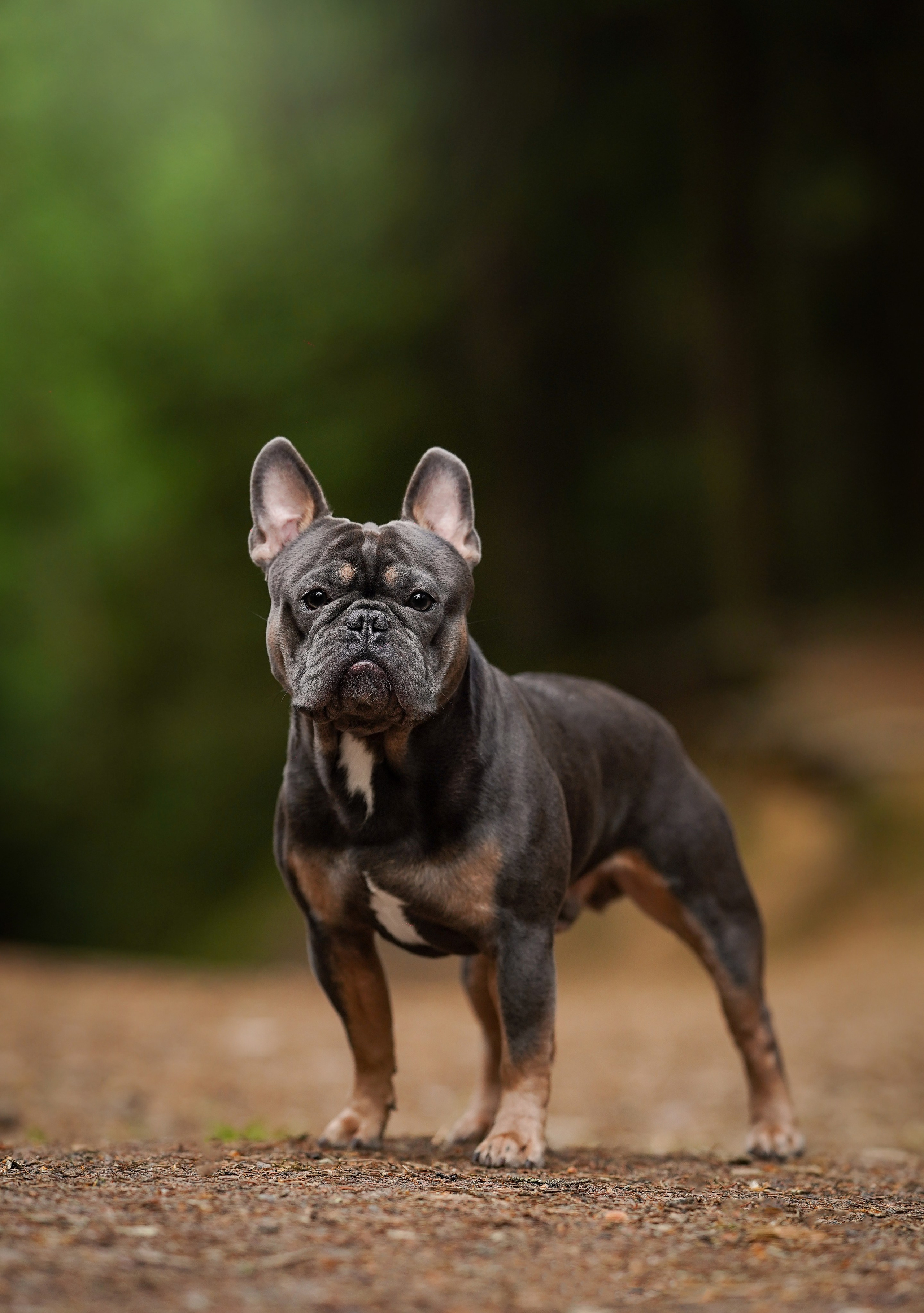 Юлия Петя и Моника. Фотограф-анималист в Санкт-Петербурге Яна Мартынова