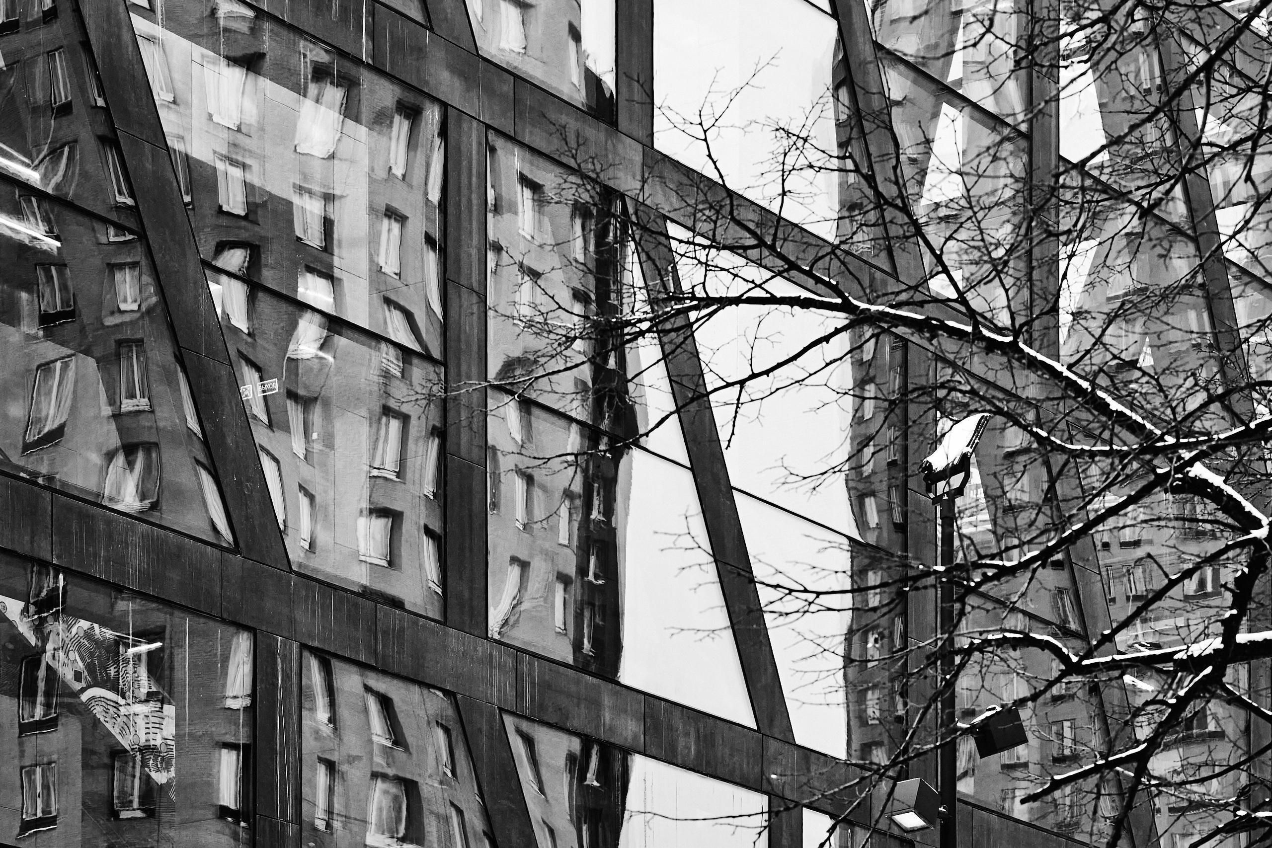 Архитектурная фотография, ч/б, с деревьями, отражениями домов и веток в окнах культурного центра в ЖК "ЗИЛАРТ"