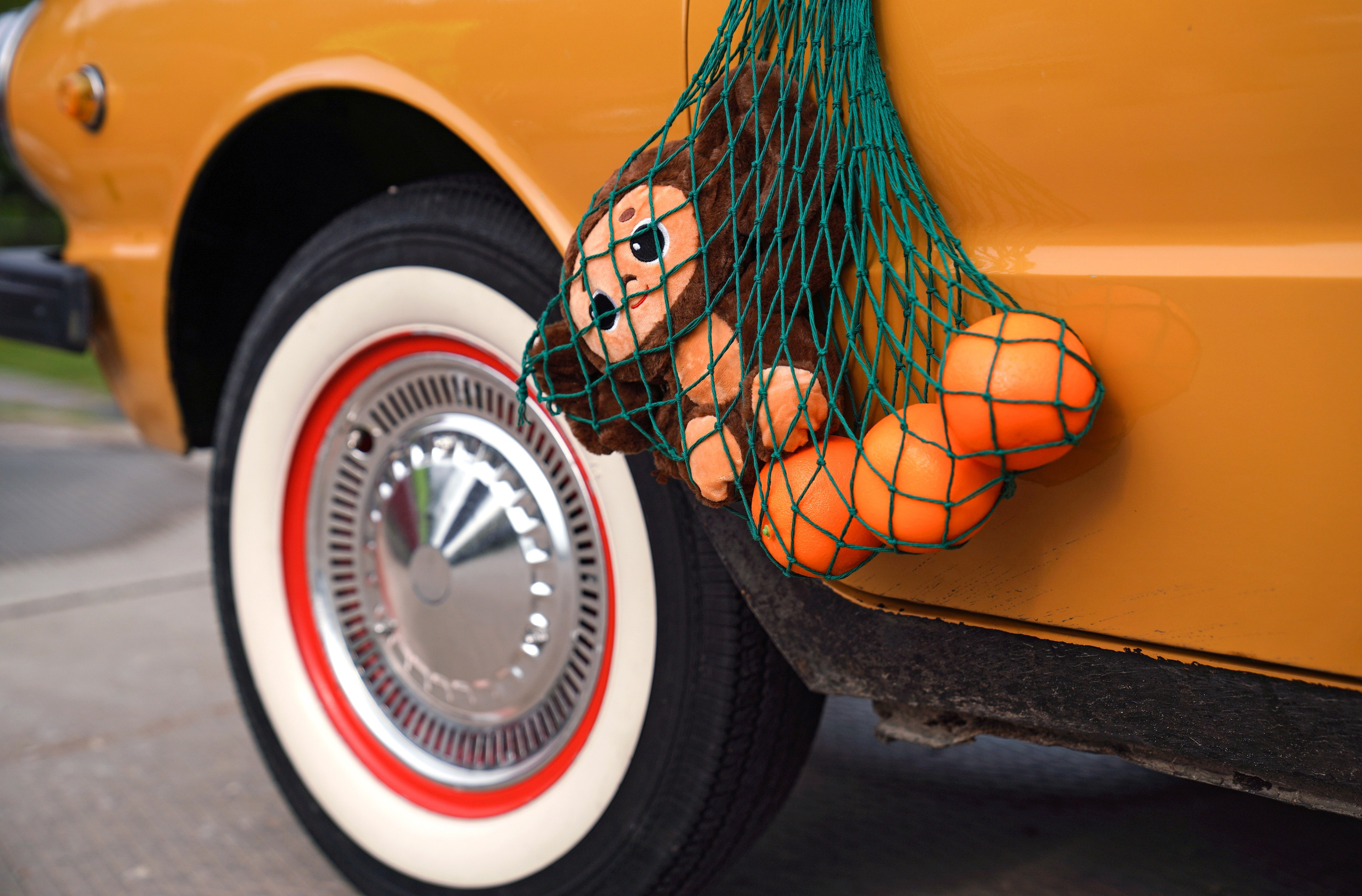 Репортажные съёмки. Фотограф Анна Селина