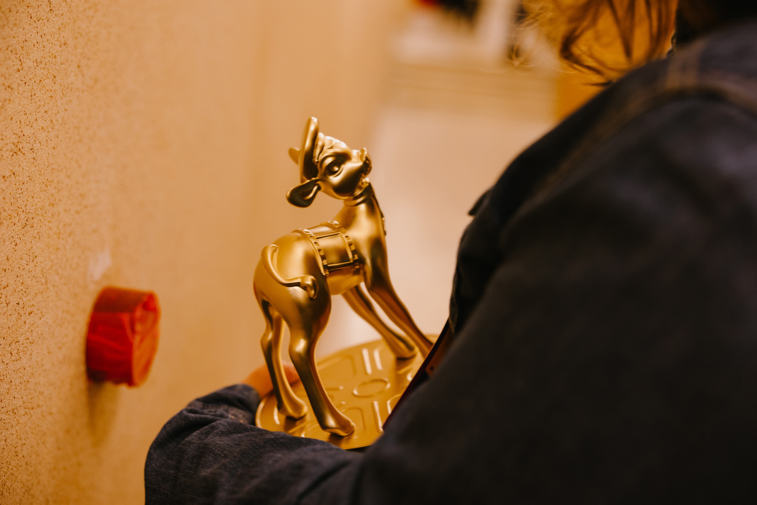 Закрытие кинофестиваля «Золотой теленок». Фото и видео контент за одну съемку — Веретенников Егор