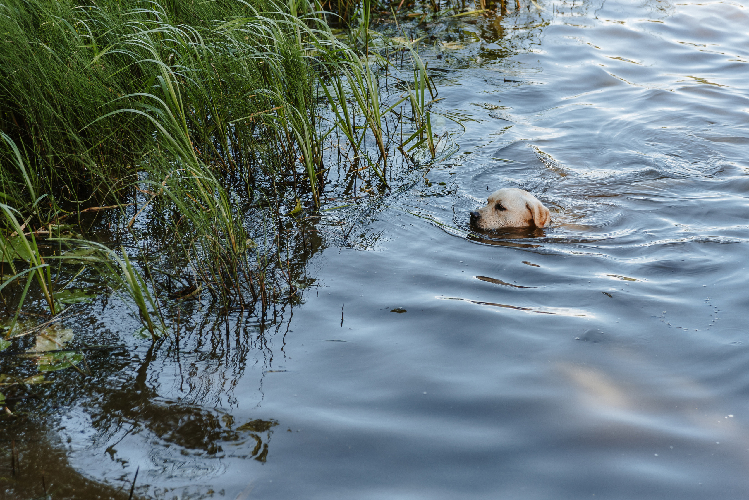 Открытие летнего сезона NSP. Фото и видео контент за одну съемку — Веретенников Егор