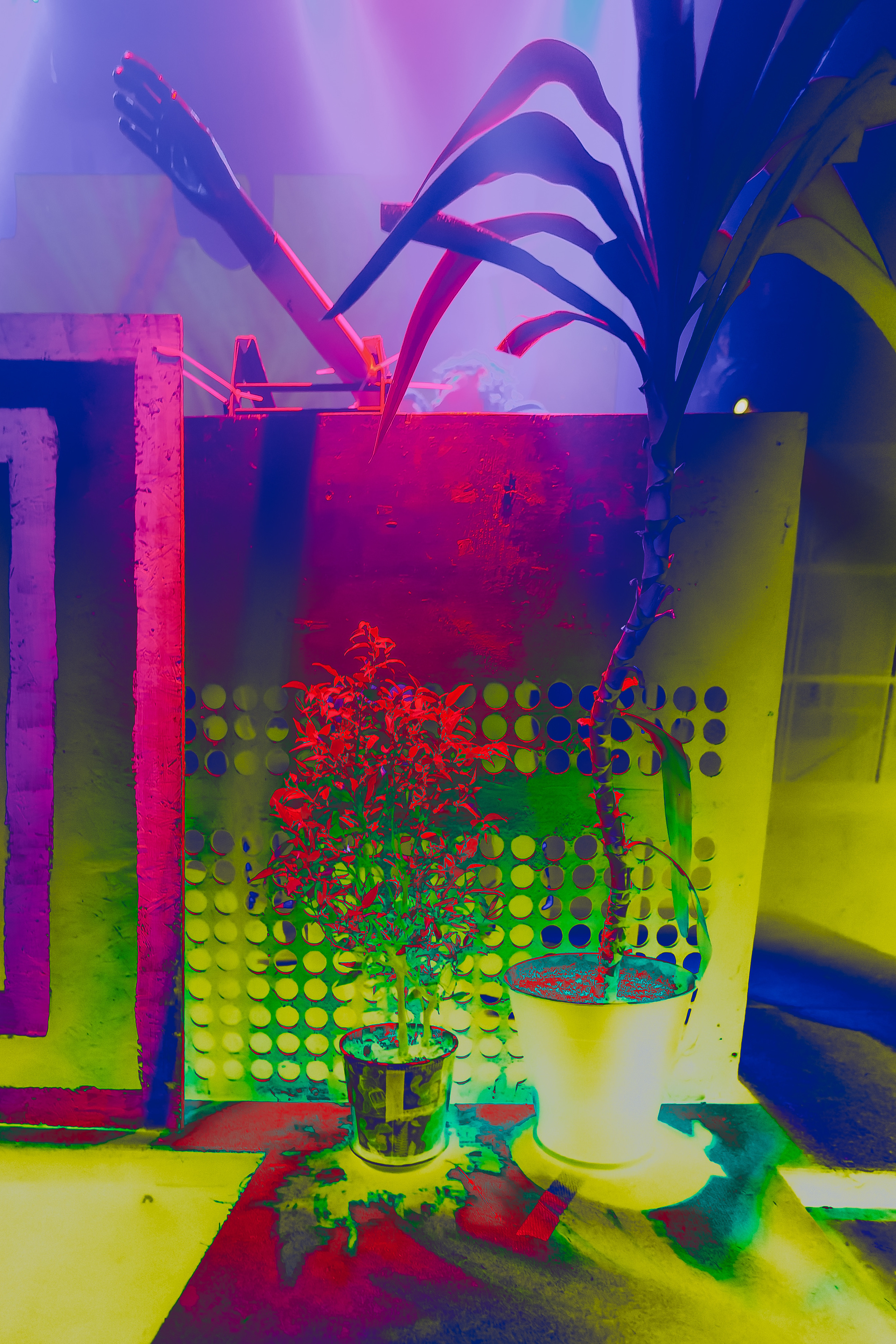 X — project. Фото и видео контент за одну съемку — Веретенников Егор