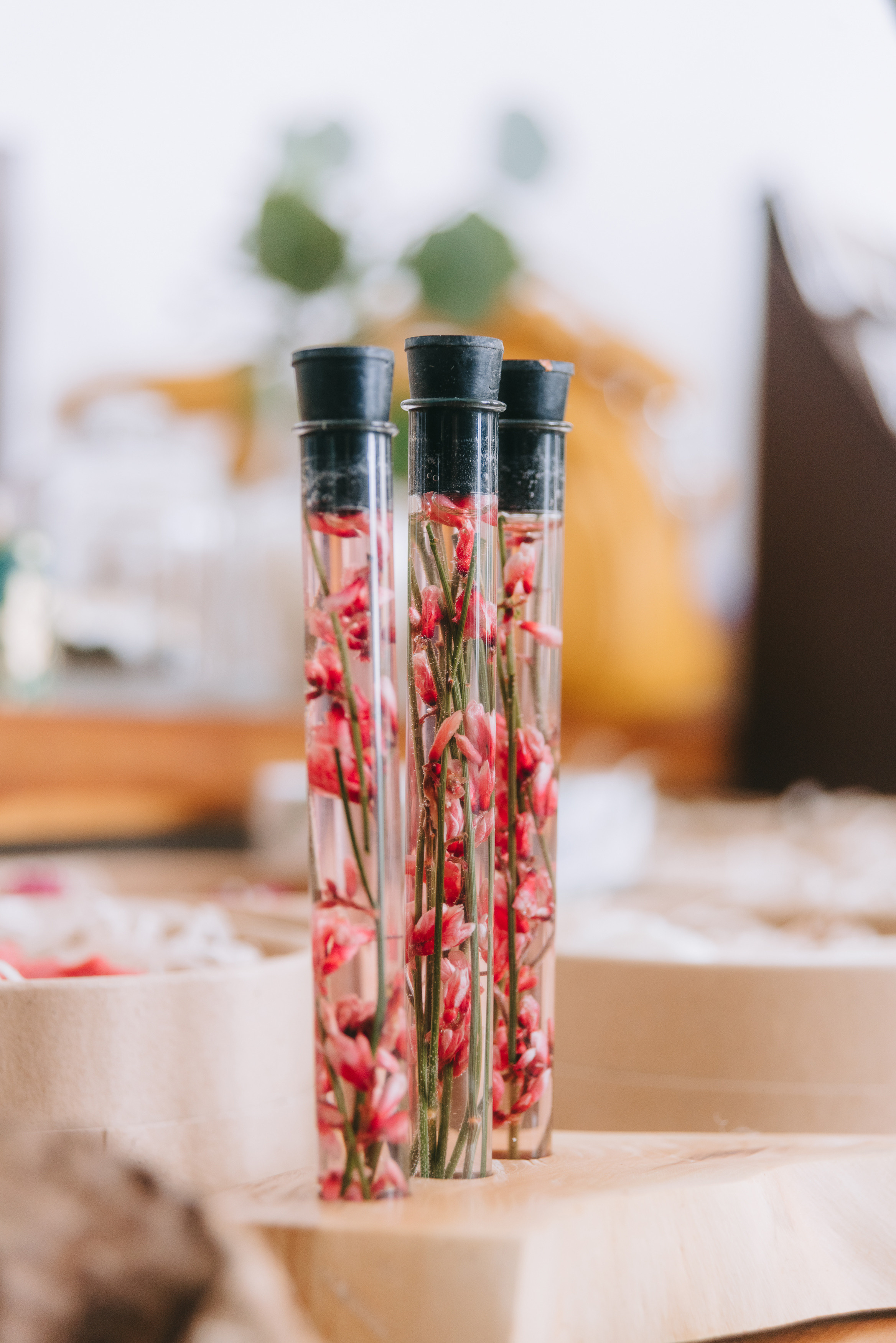 Весенний Артмаркет. Фото и видео контент за одну съемку — Веретенников Егор