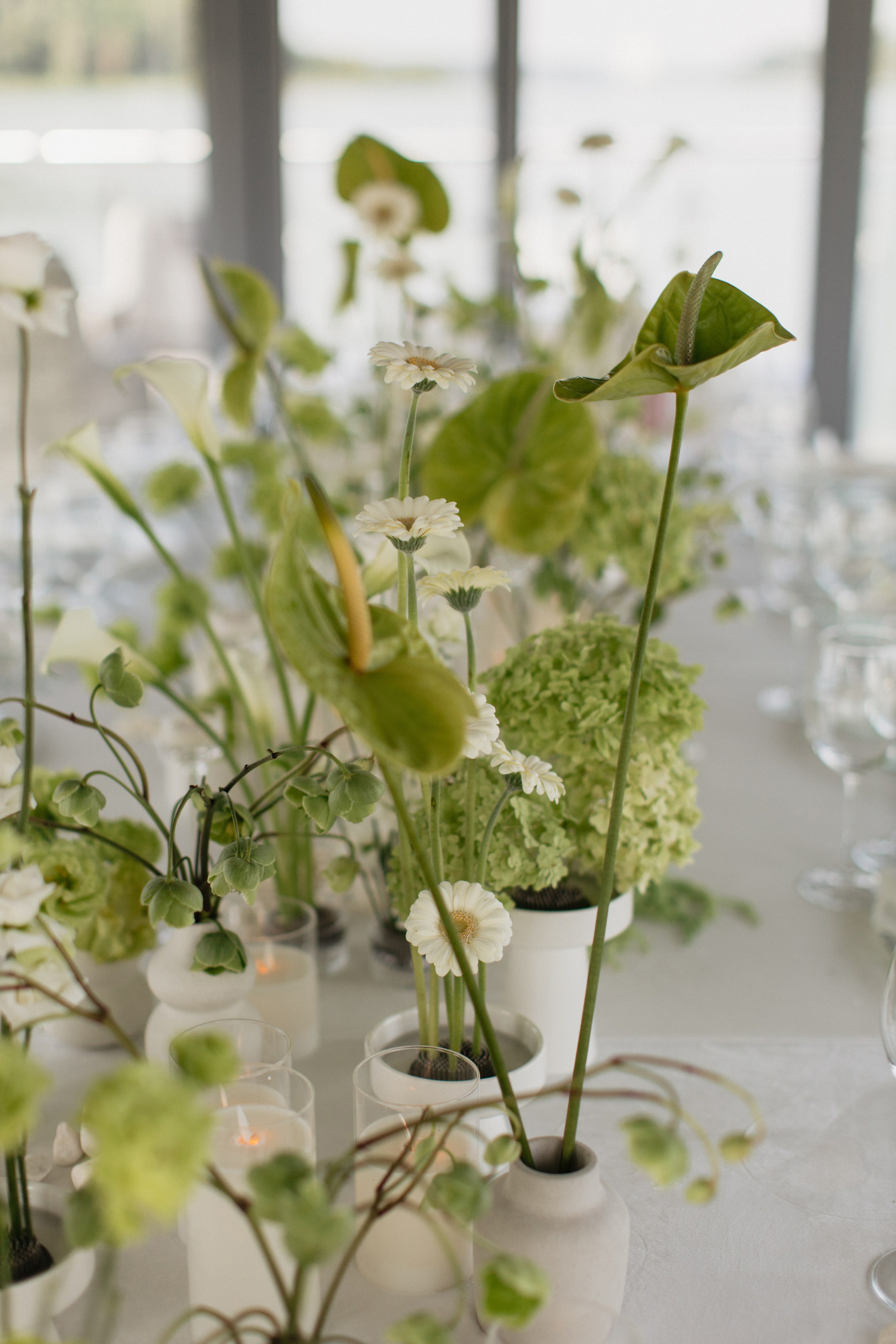 Андрей & Лера | ROBINSON CLUB. Свадебный фотограф в Минске Владислав Бабич