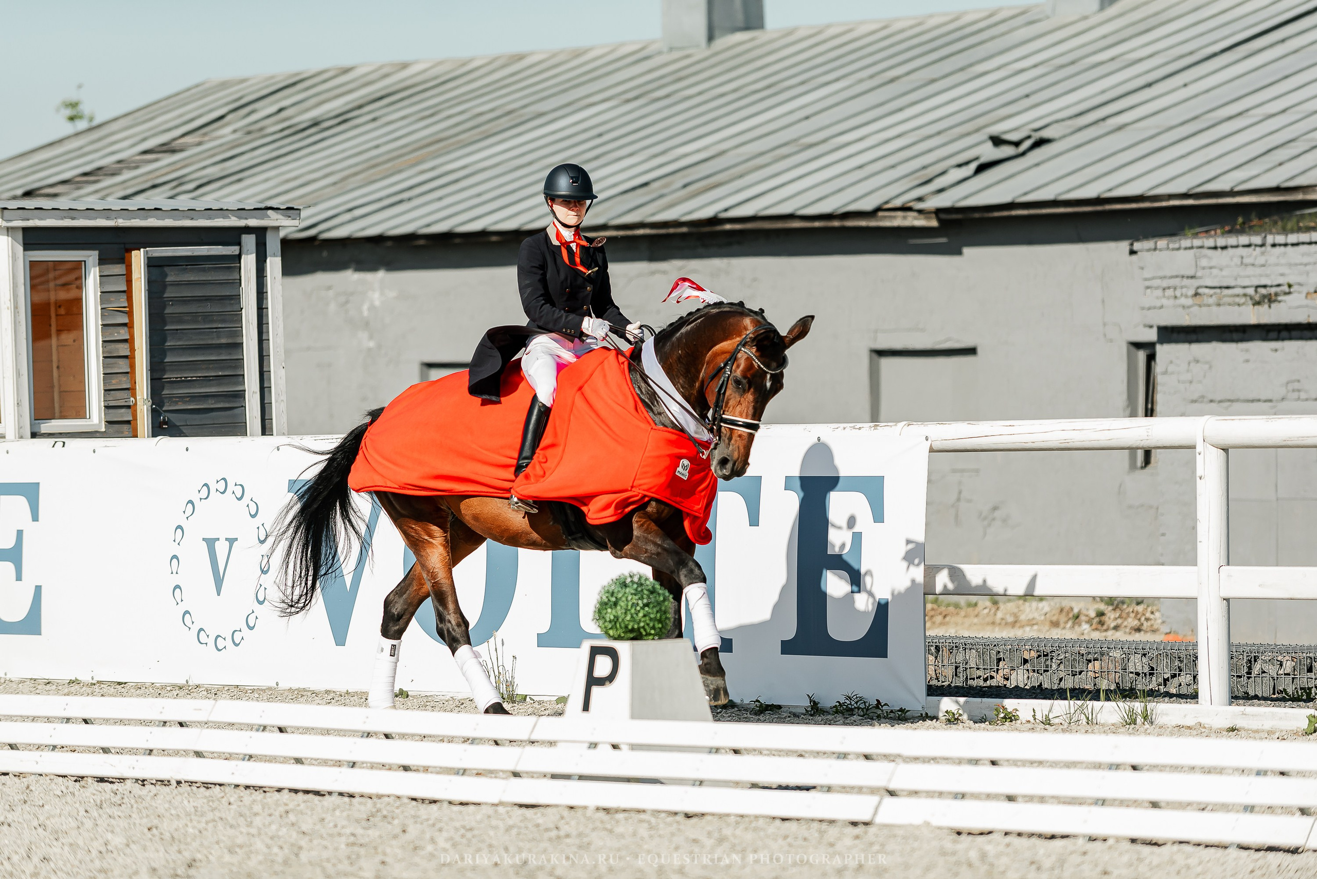 РЕПОРТАЖ МКК ВОЛЬТ «LA TULIPS». Конный фотограф Куракина Дарья • Фотосессии с лошадьми