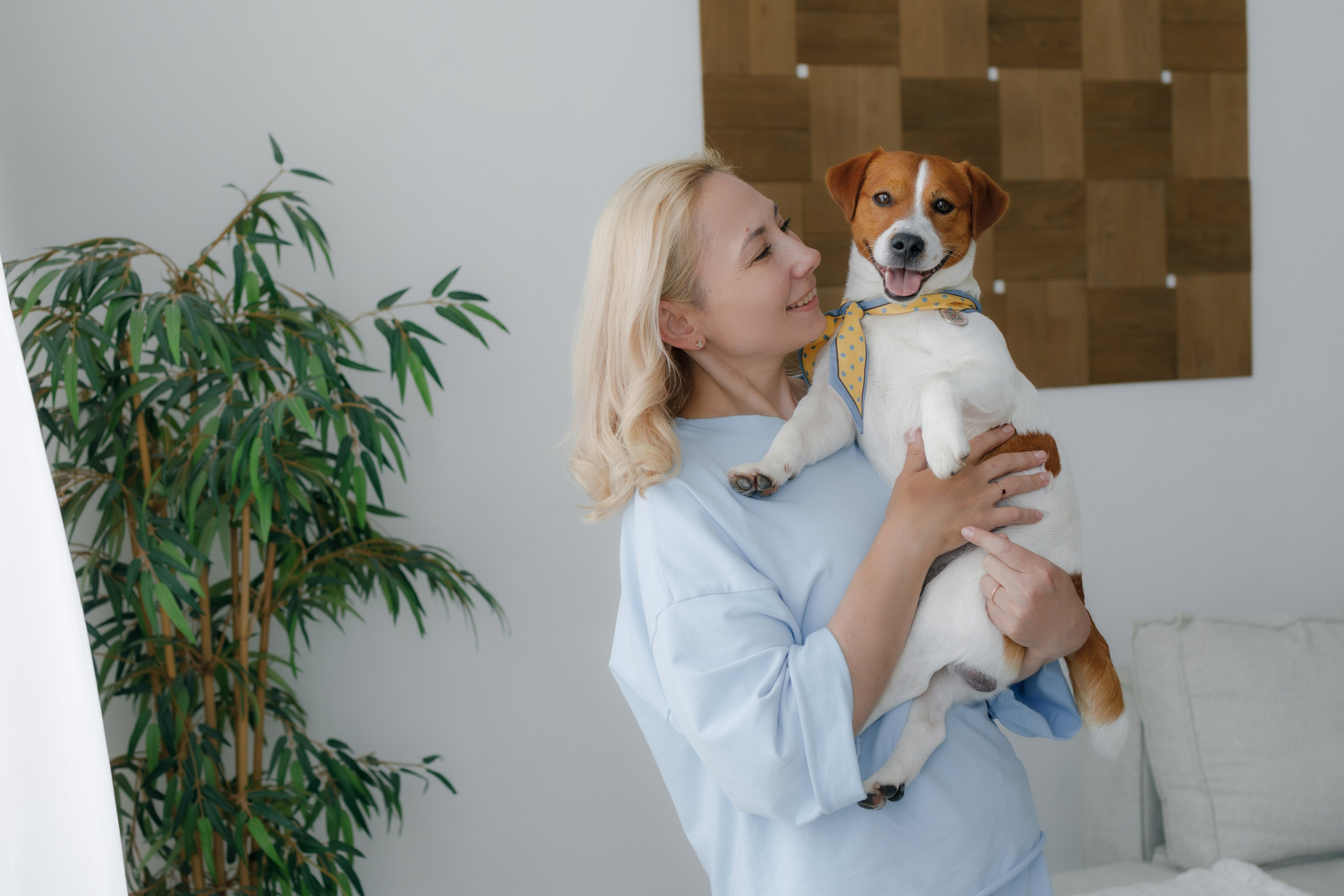 Счастье имеет хвост и мокрый нос. Свадебный и семейный фотограф в Перми Дергачева Кристина