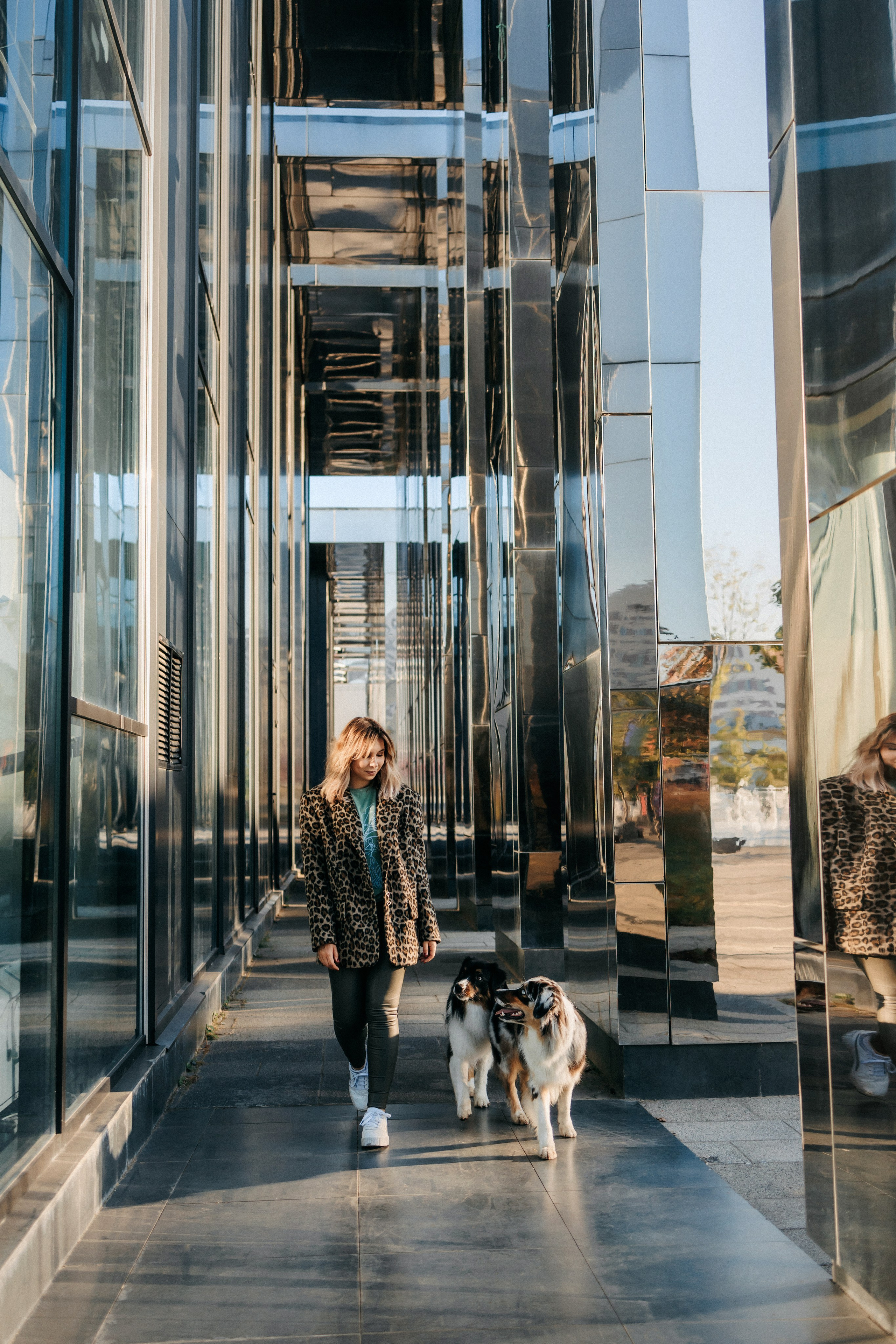 Аня, Чарли и Ева. Фотограф-анималист Елена Радченко, Москва