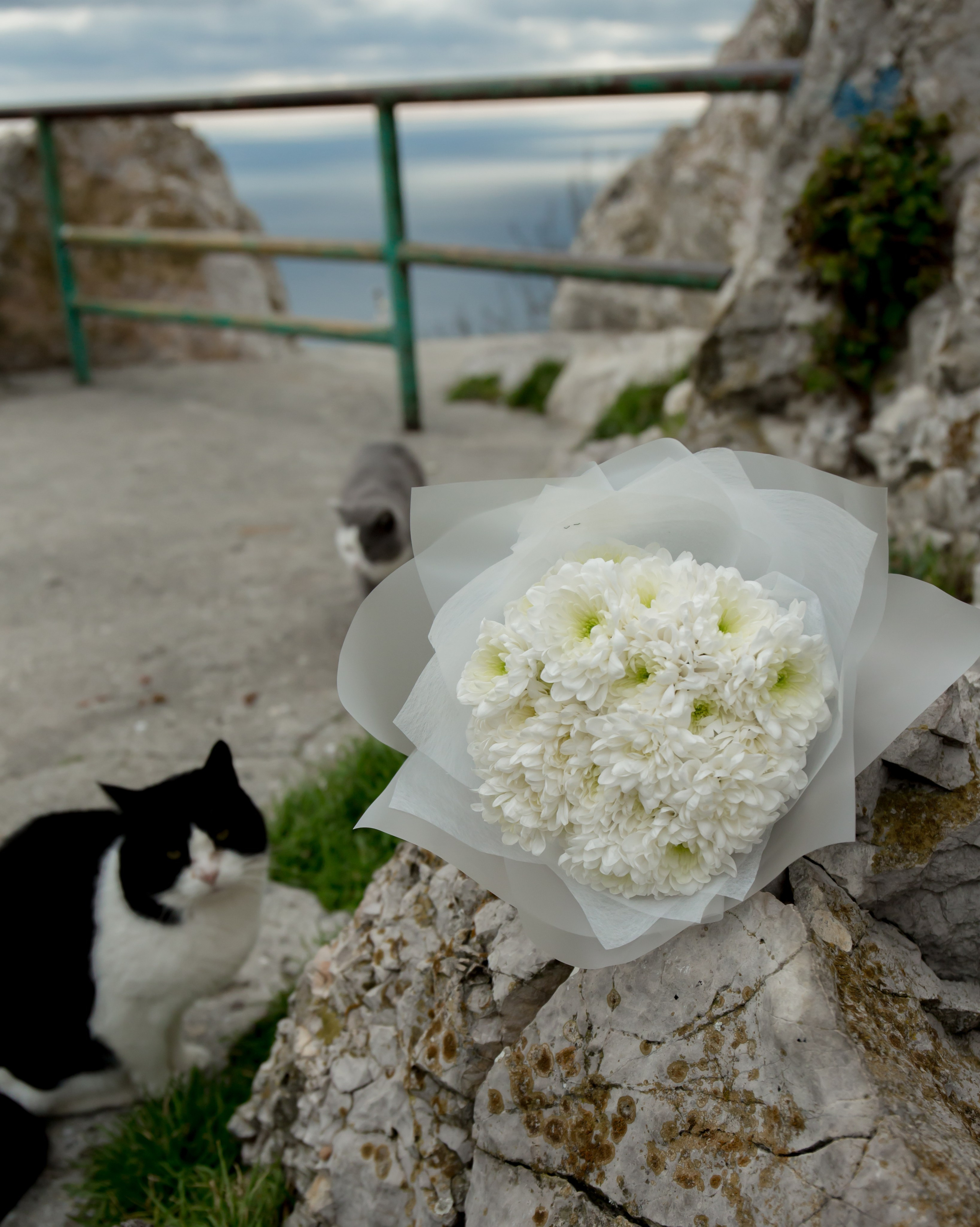 Анонс свадьба Георгий и Анна. Свадебный и семейный фотограф в Севастополе Элеонора Семашко