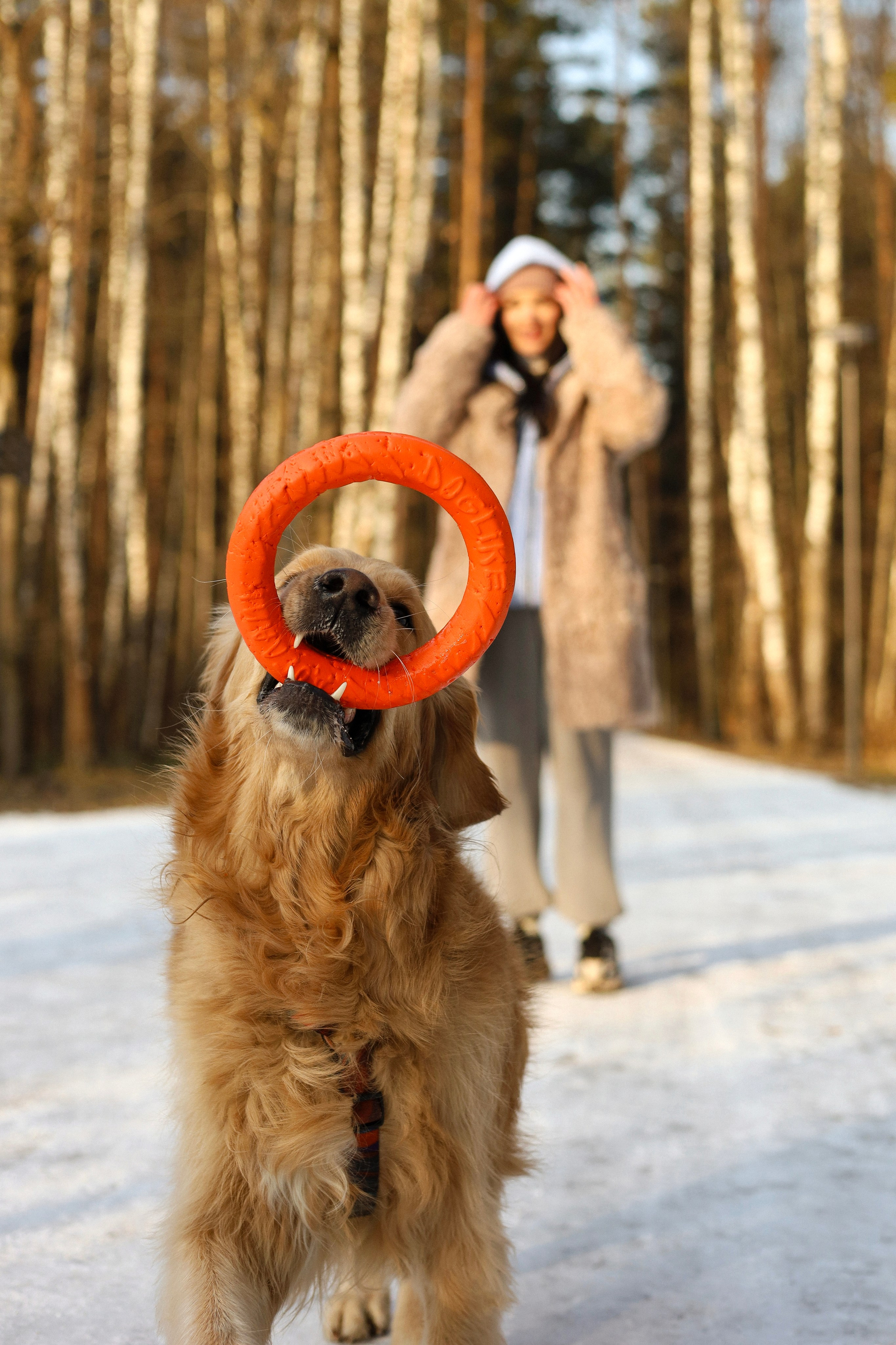 Лёва и Катя. Фотограф-анималист Ксения Шевцова|Москва