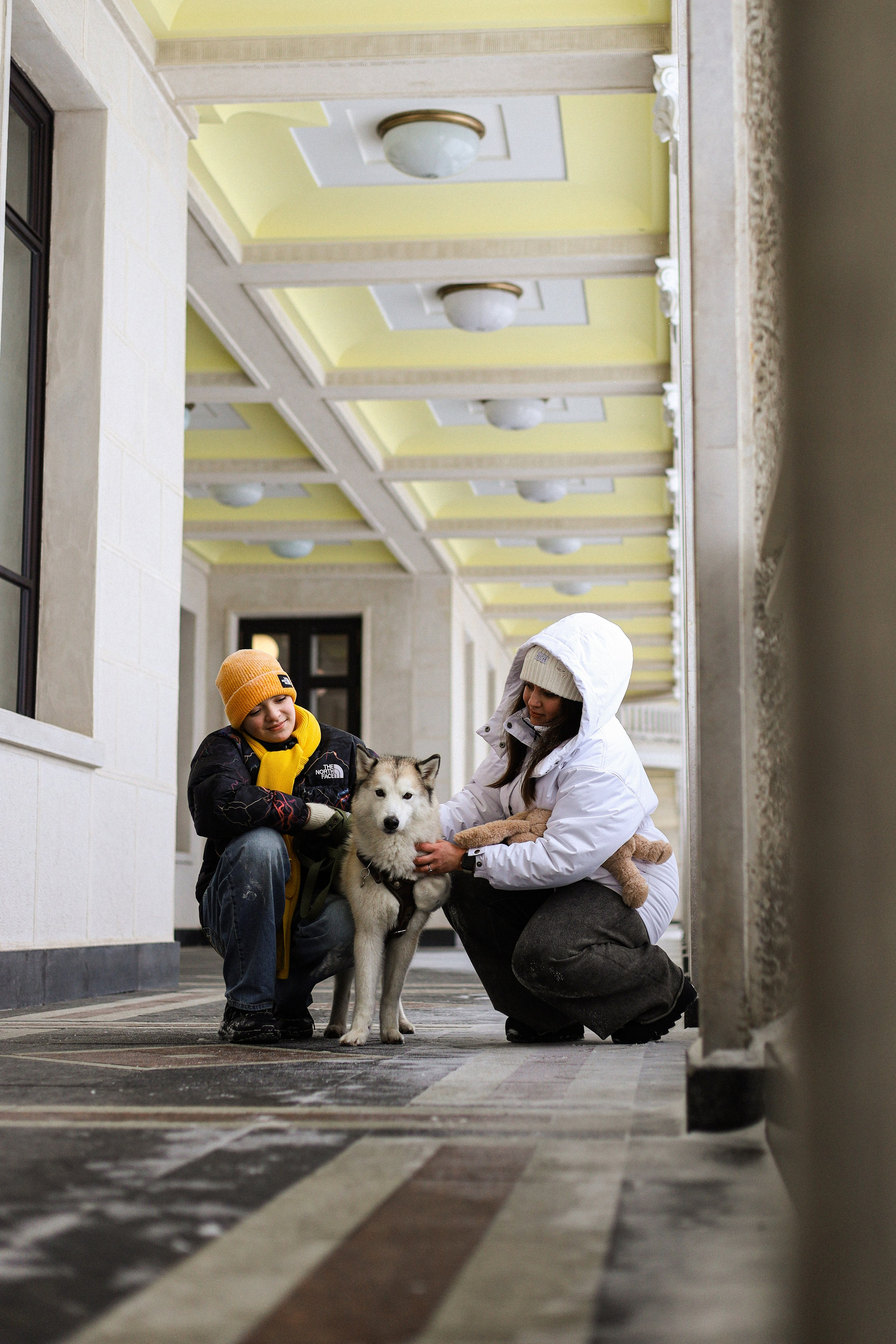 Мила, Лиза и Матвей. Фотограф-анималист Ксения Шевцова|Москва
