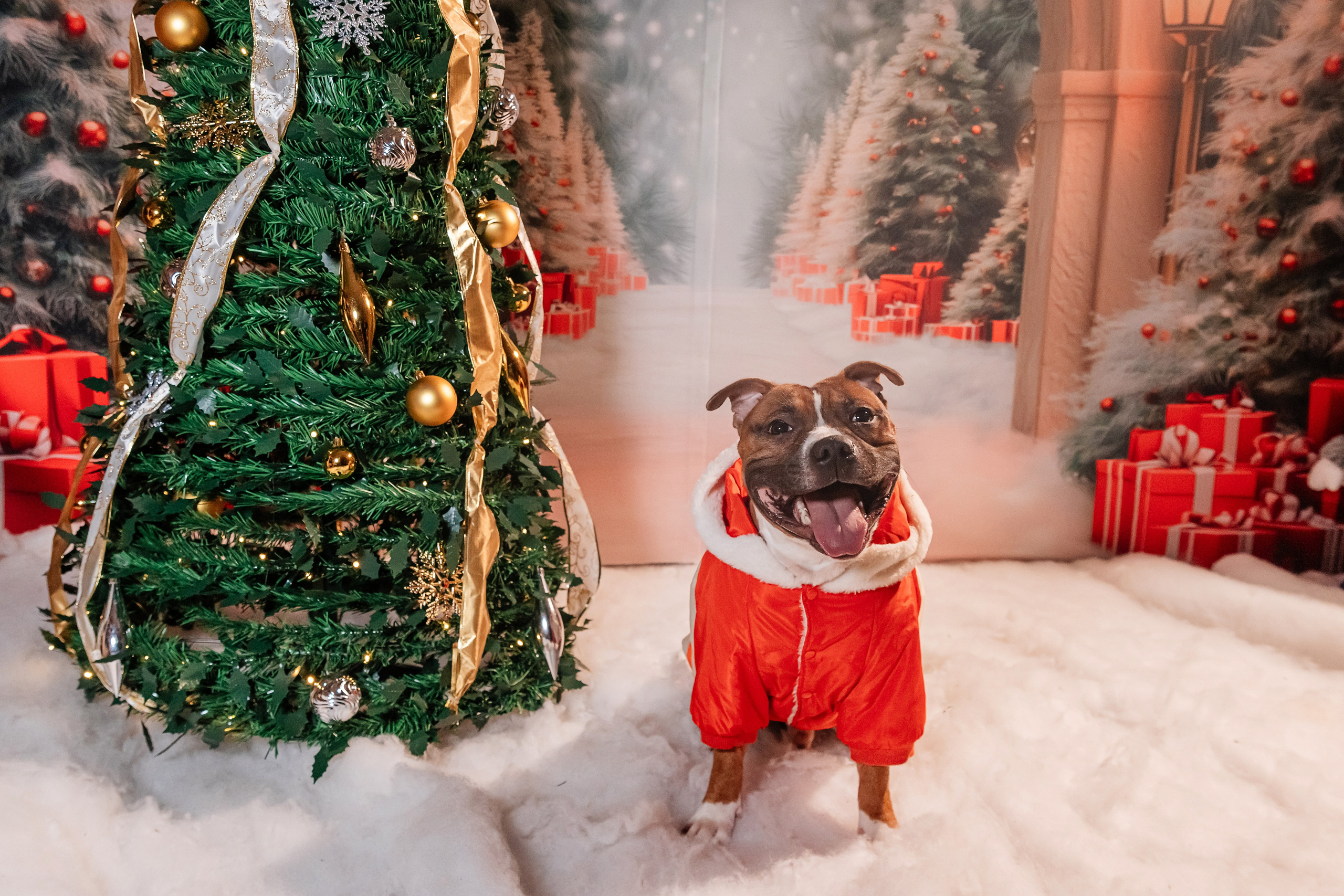 Елена и Ричи. Фотограф Иван Понкратов