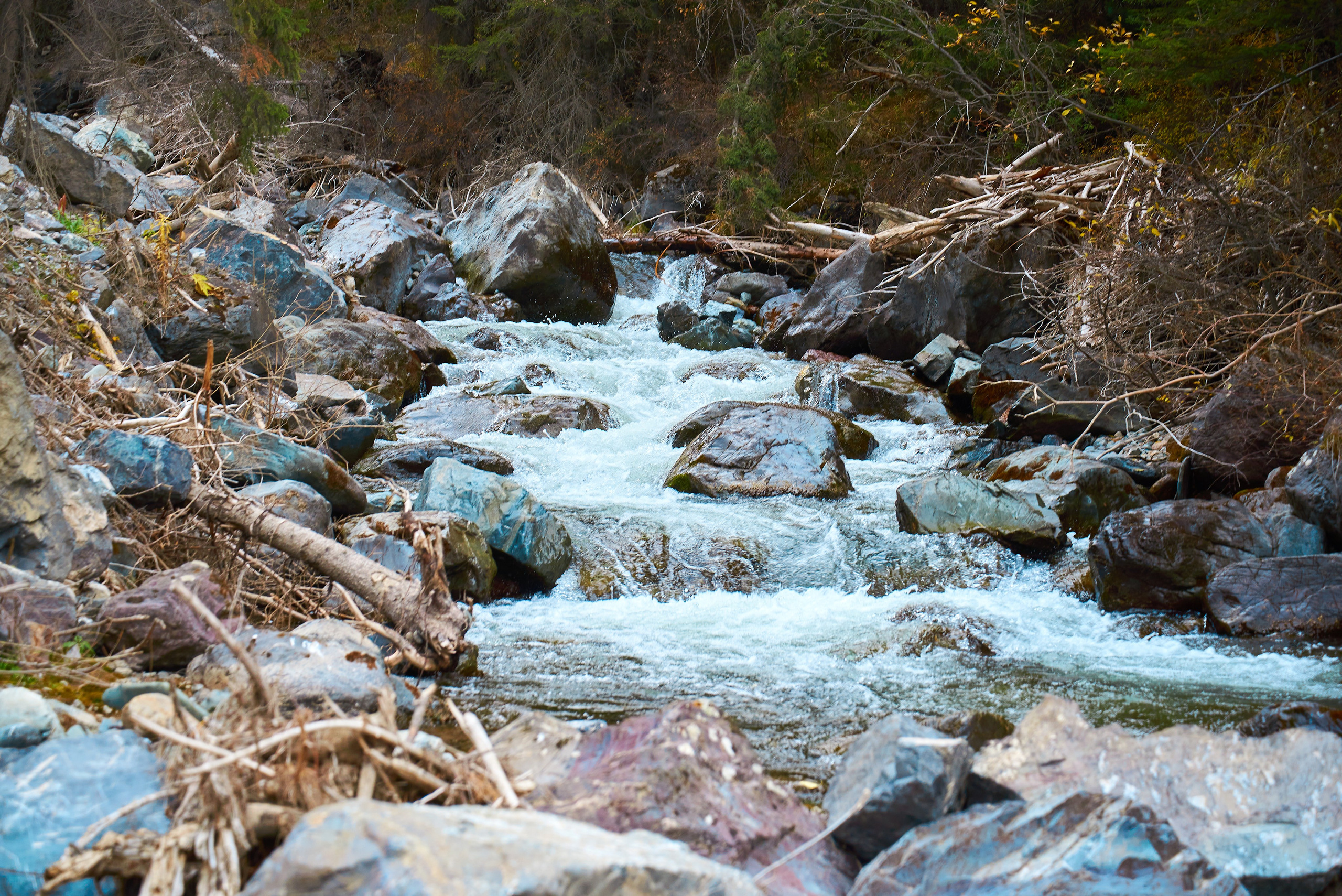 Контент-съёмка для туристической компании НА ВЫСОТЕ. Семейный фотограф в Барнауле, Горный Алтай, Заринск, Алейск