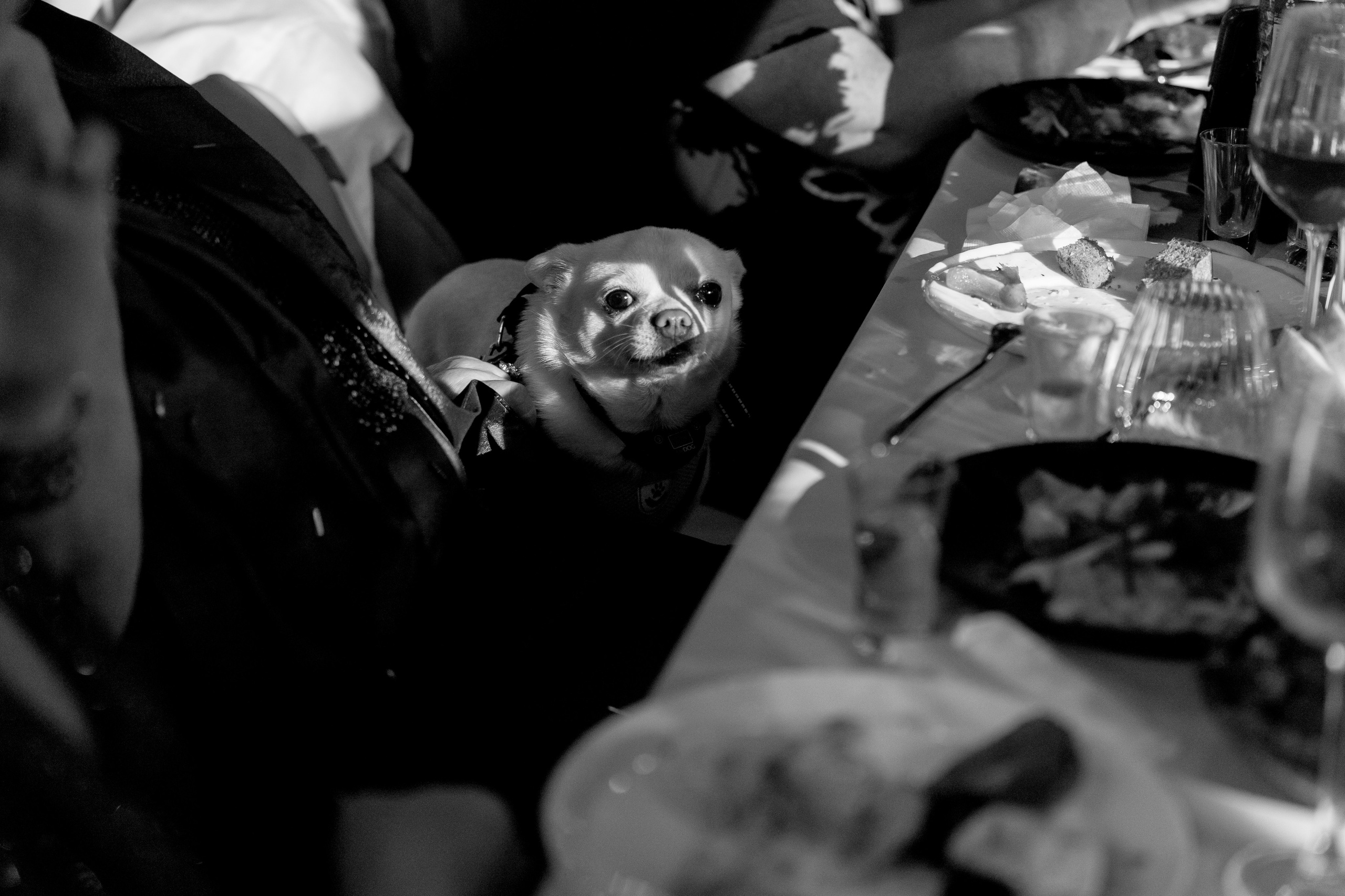 Данил и Елизавета. Свадебный фотограф Краснодар и Москва. Анна Еремчук