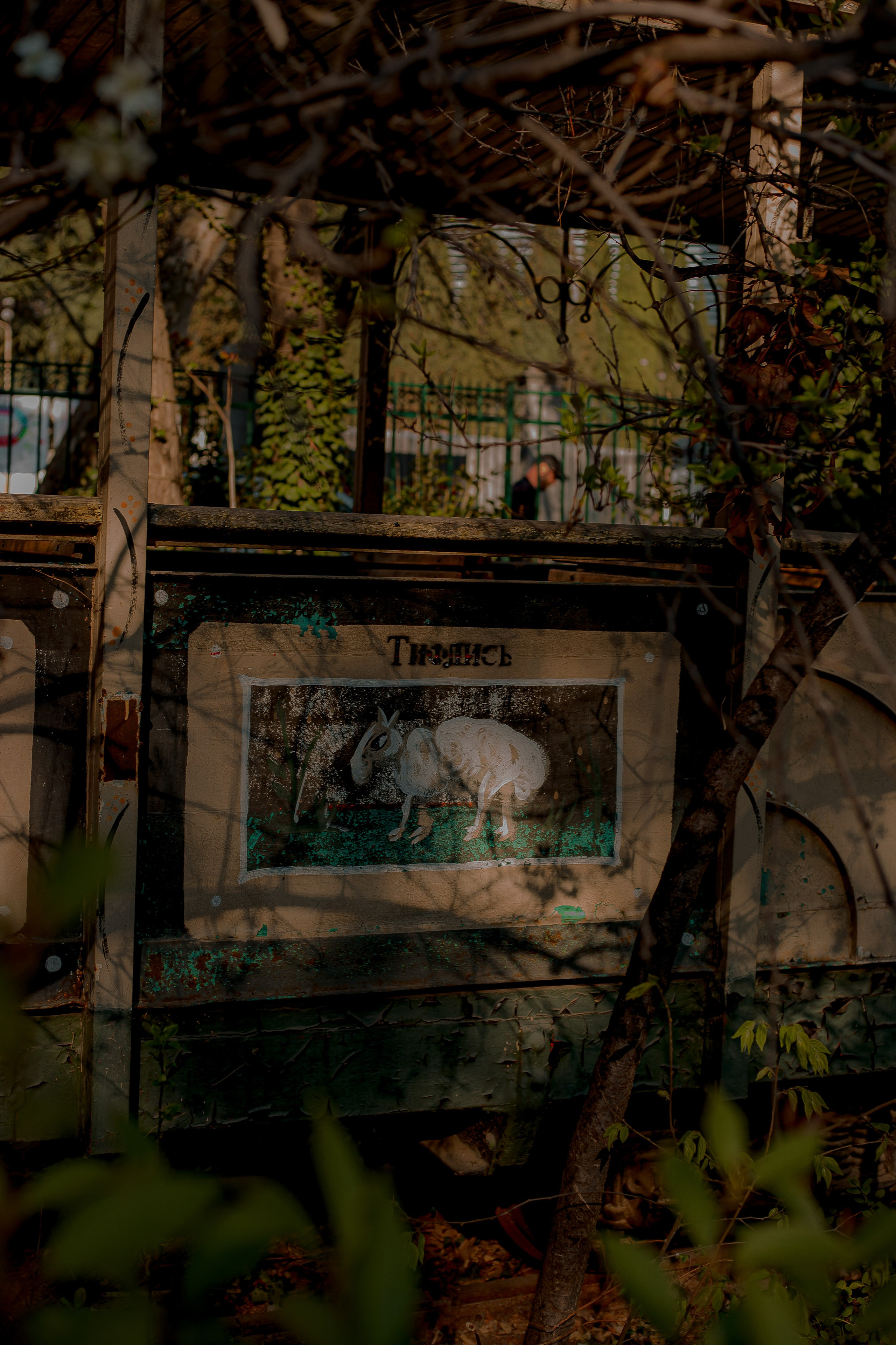 Georgia, Tbilisi 2024. Art Photographer