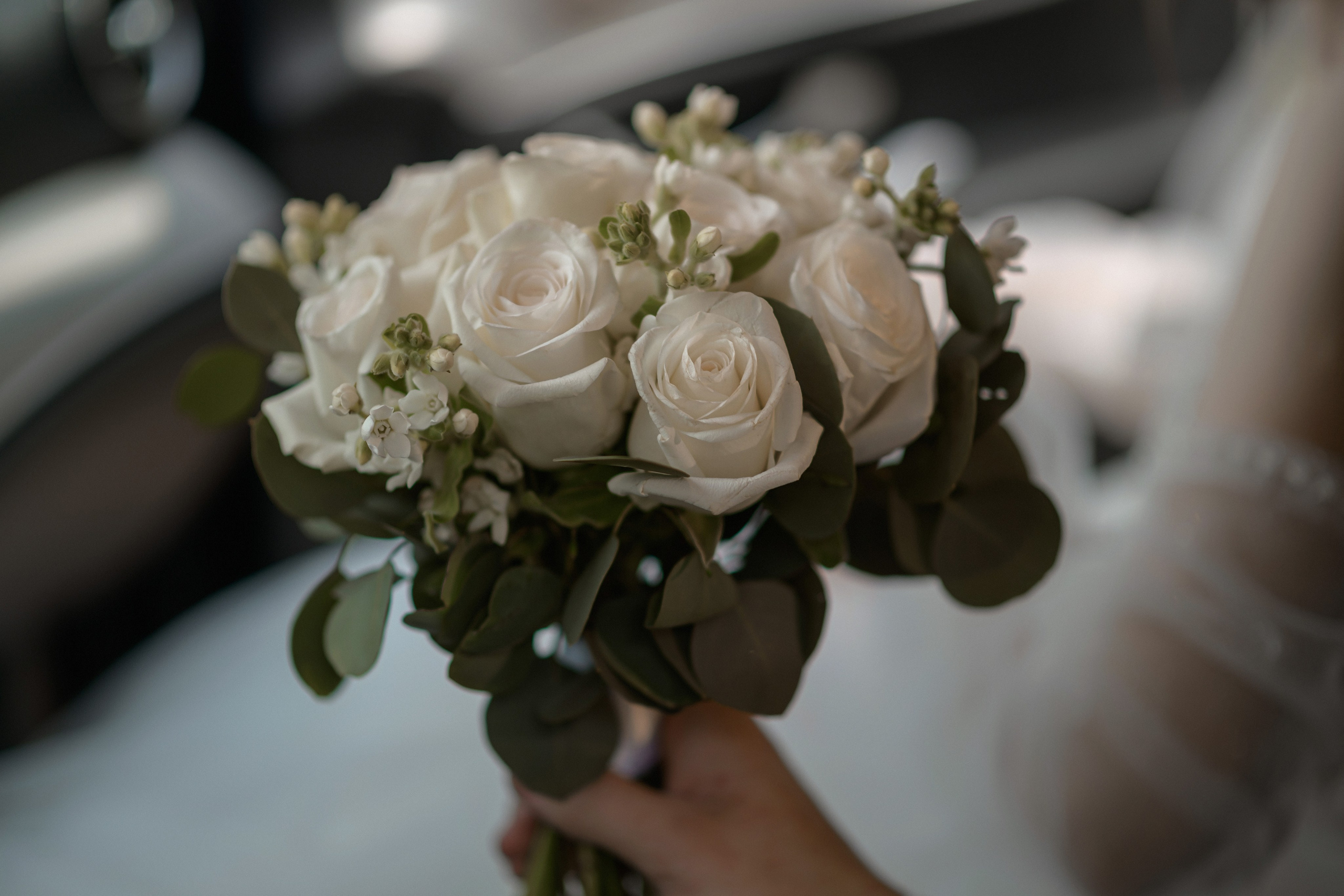 Евгений и Татьяна. Свадебный фотограф Белгород Валуйки Старый Оскол Воронеж