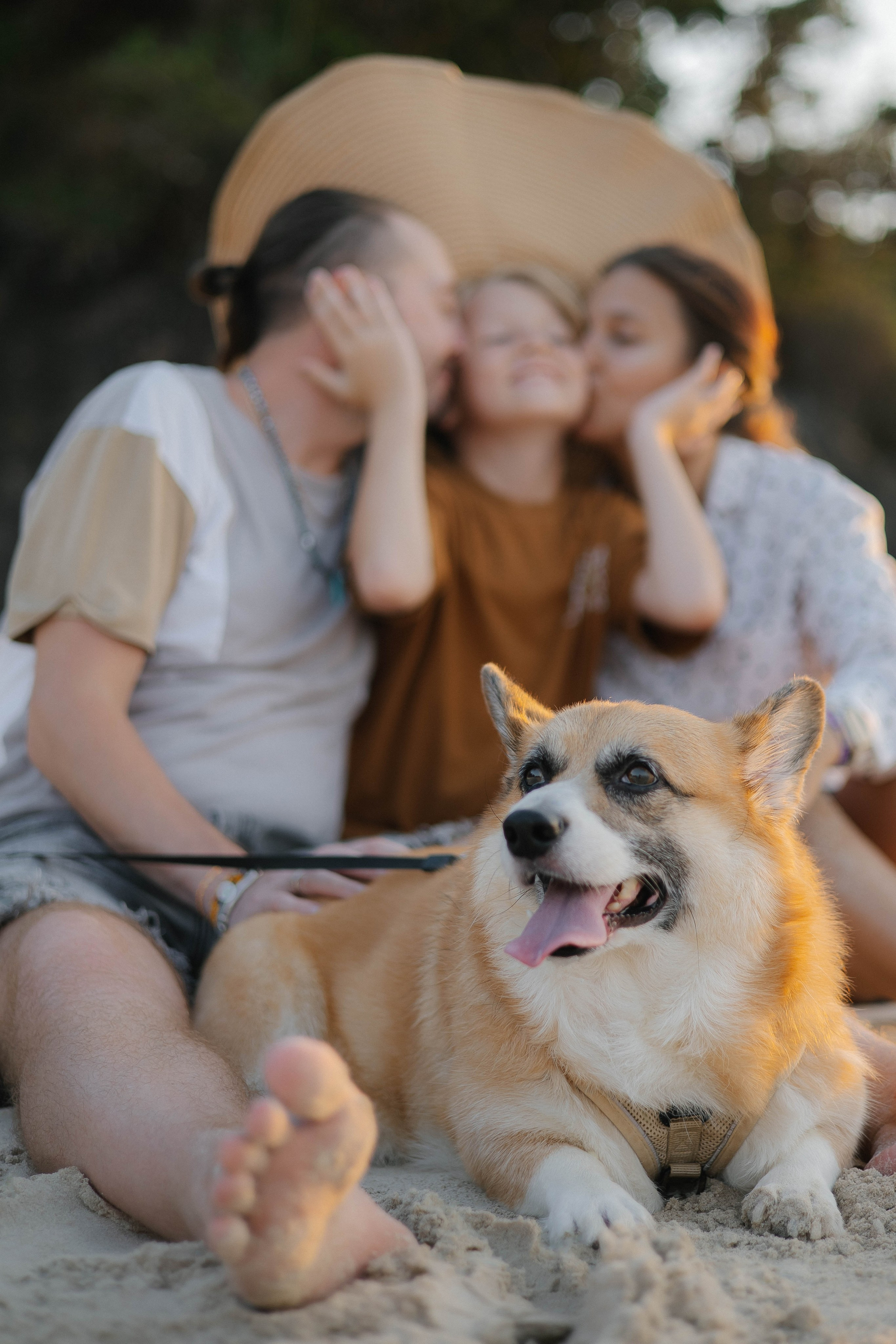 Алиса с семьей / Самуи. Семейный и детский фотограф в Москве Анастасия Каипова