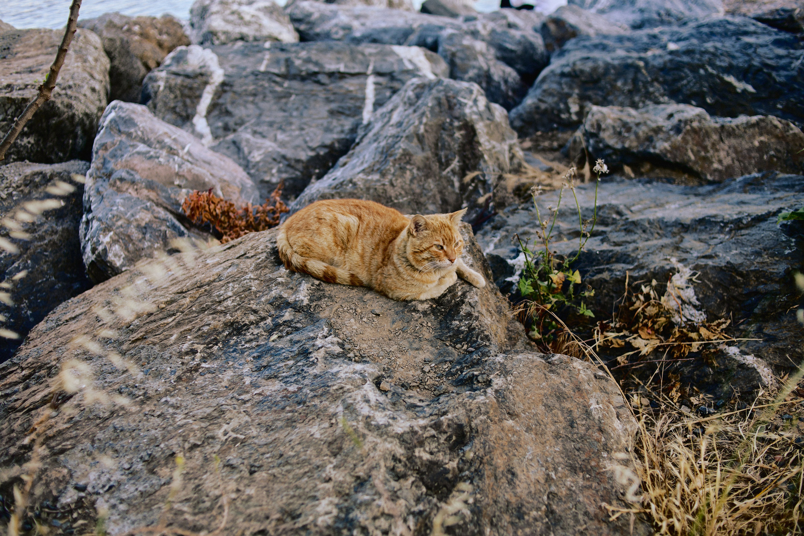 Улица горизонтальная. Jorgis — фотограф в Хургаде / обучение фотографии