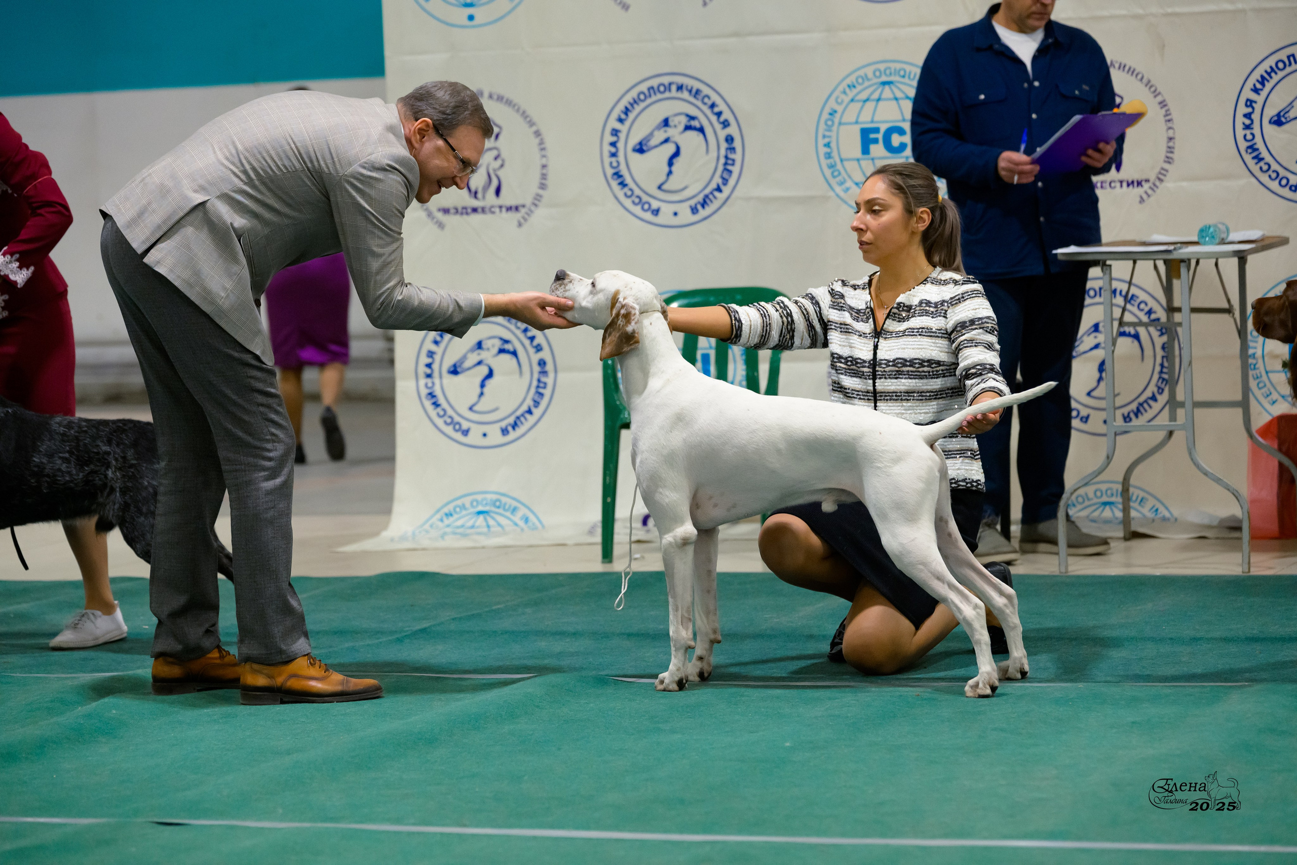 6-7.12.2025 г.Новосибирск. Фотограф анималист Елена Галдина г. Красноярск