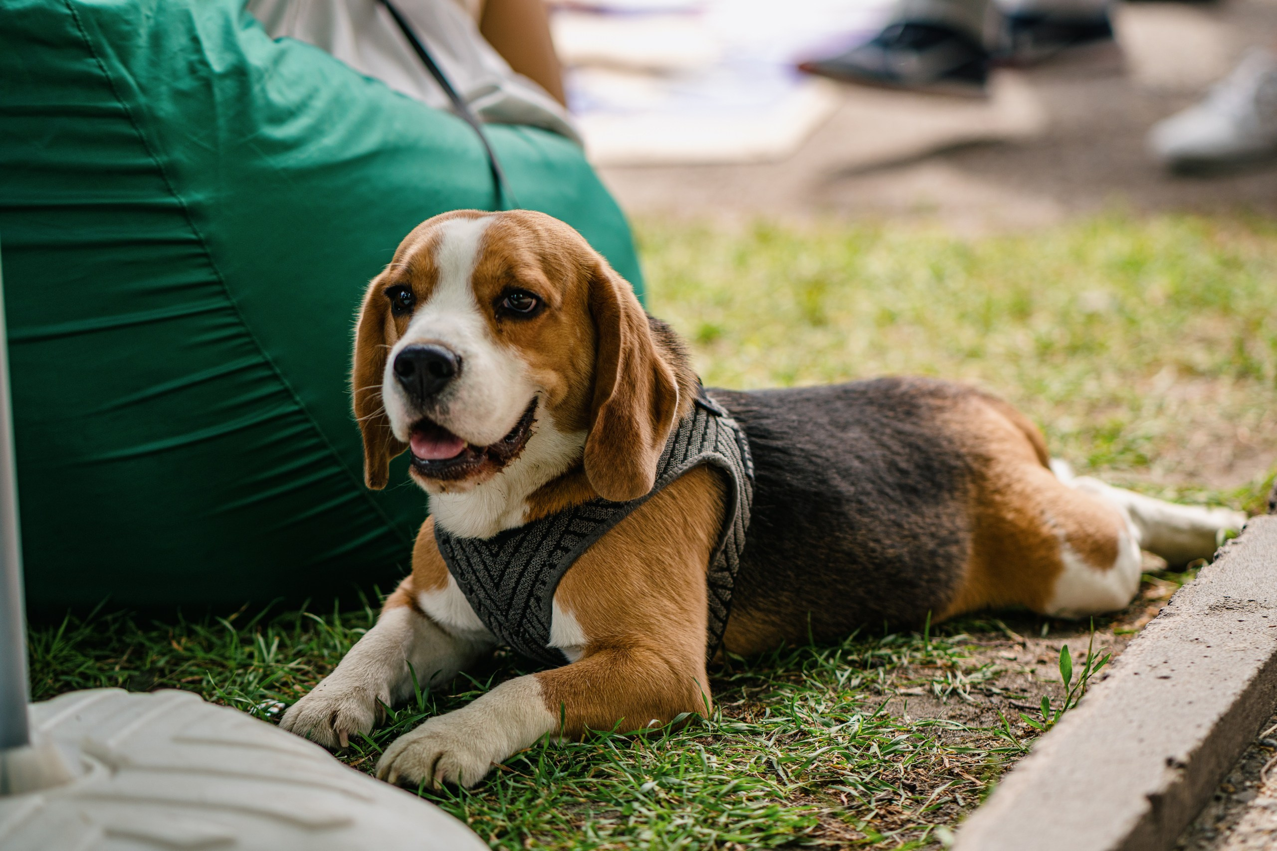 Фестиваль еды и музыки «Бульвар» Ульяновск. Творческий и репортажный фотограф в Москве Клим Долгов