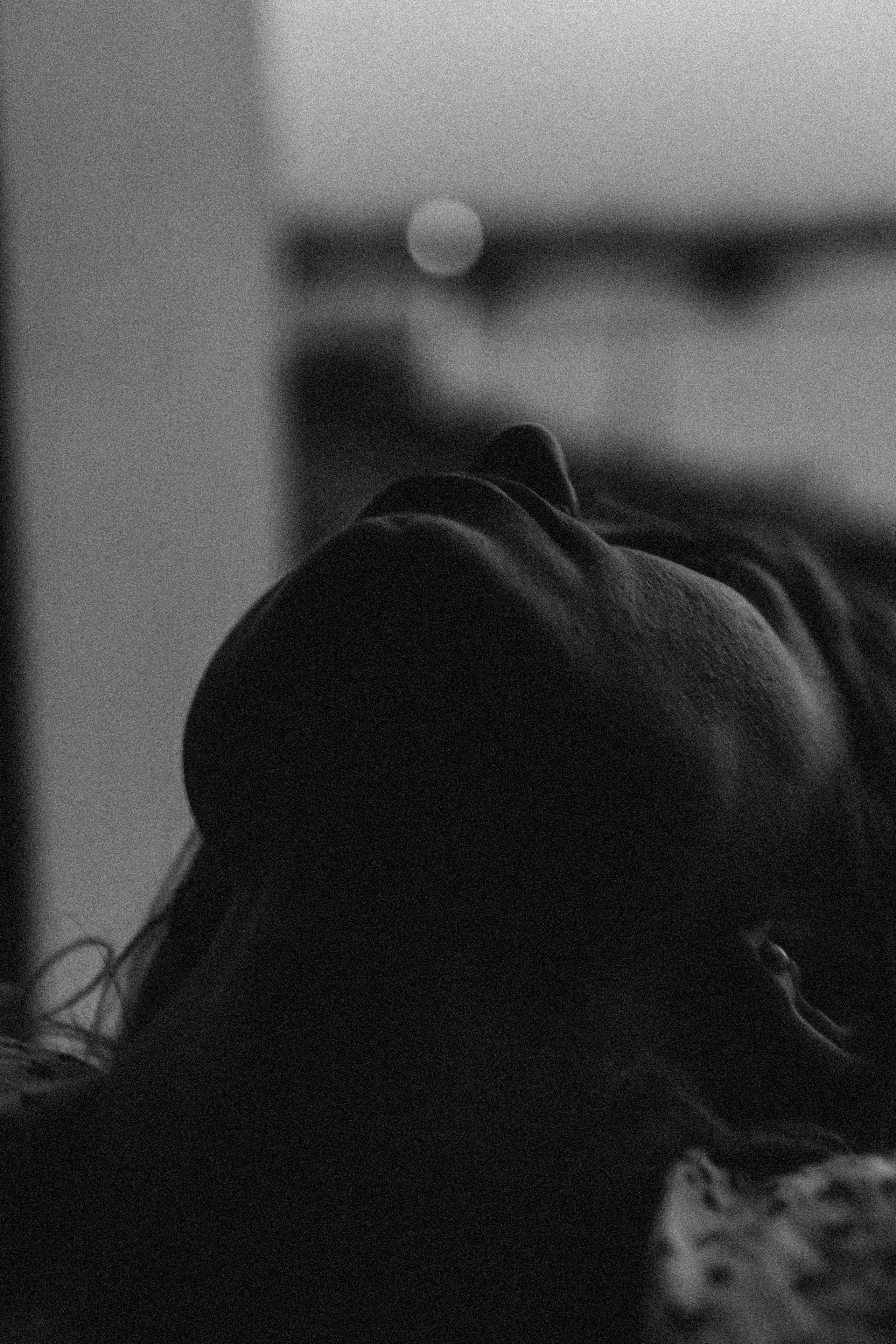 ЛЕТНИЙ ВЕЧЕР. Профессиональный фотограф, Санкт-Петербург — Виктория Богомолова