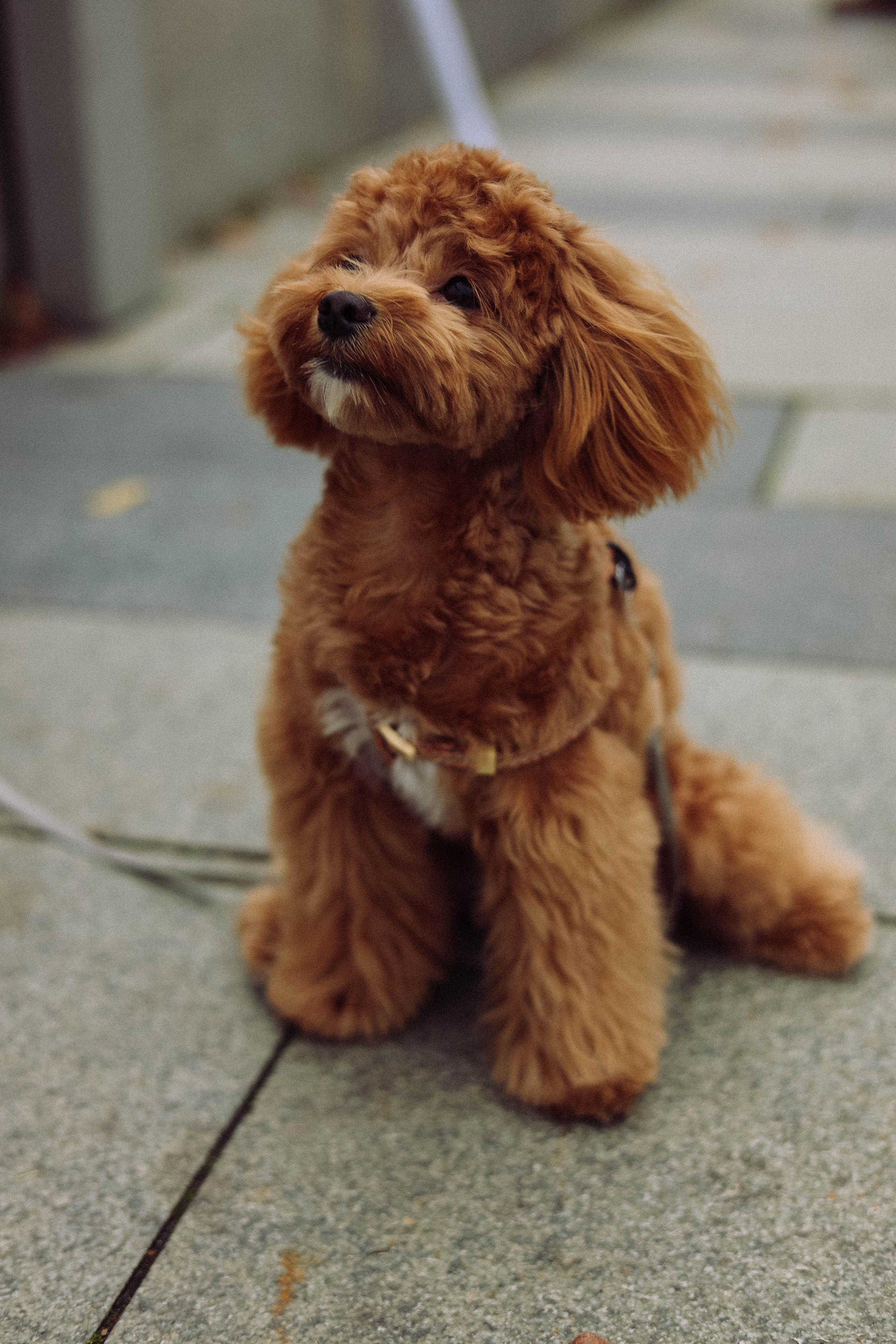 Кира. Фотограф в Москве Анастасия Калинина