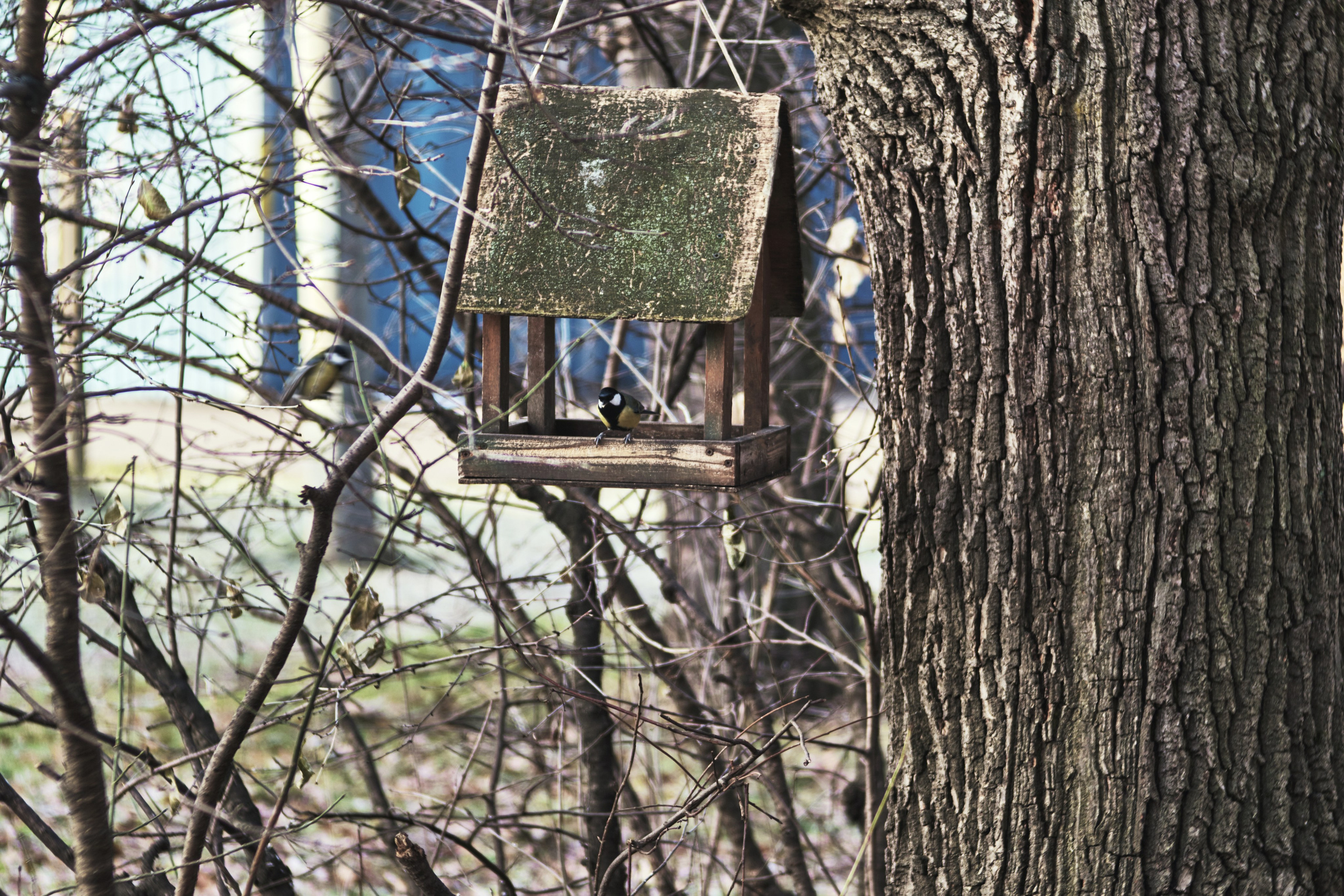 Помоги своим друзьям!. Сайт фотографа Виталия Дени