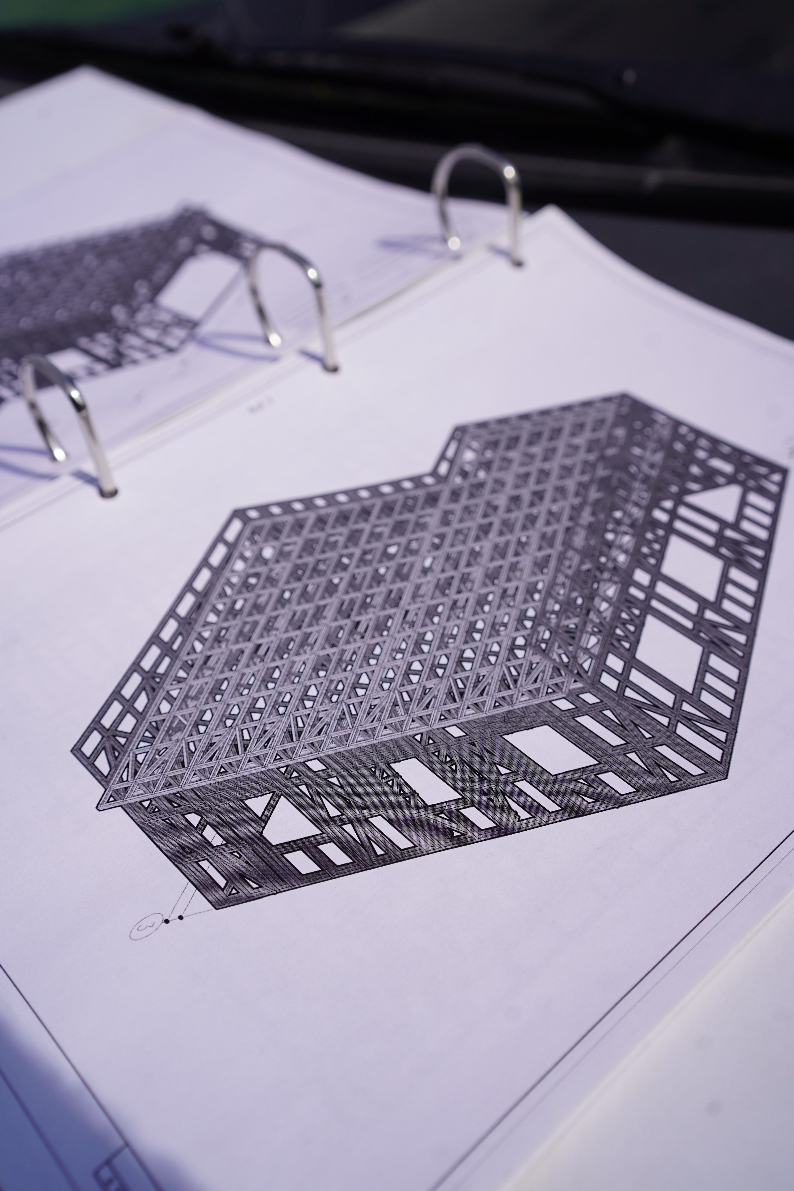 Стройка ЛСТК. Das House