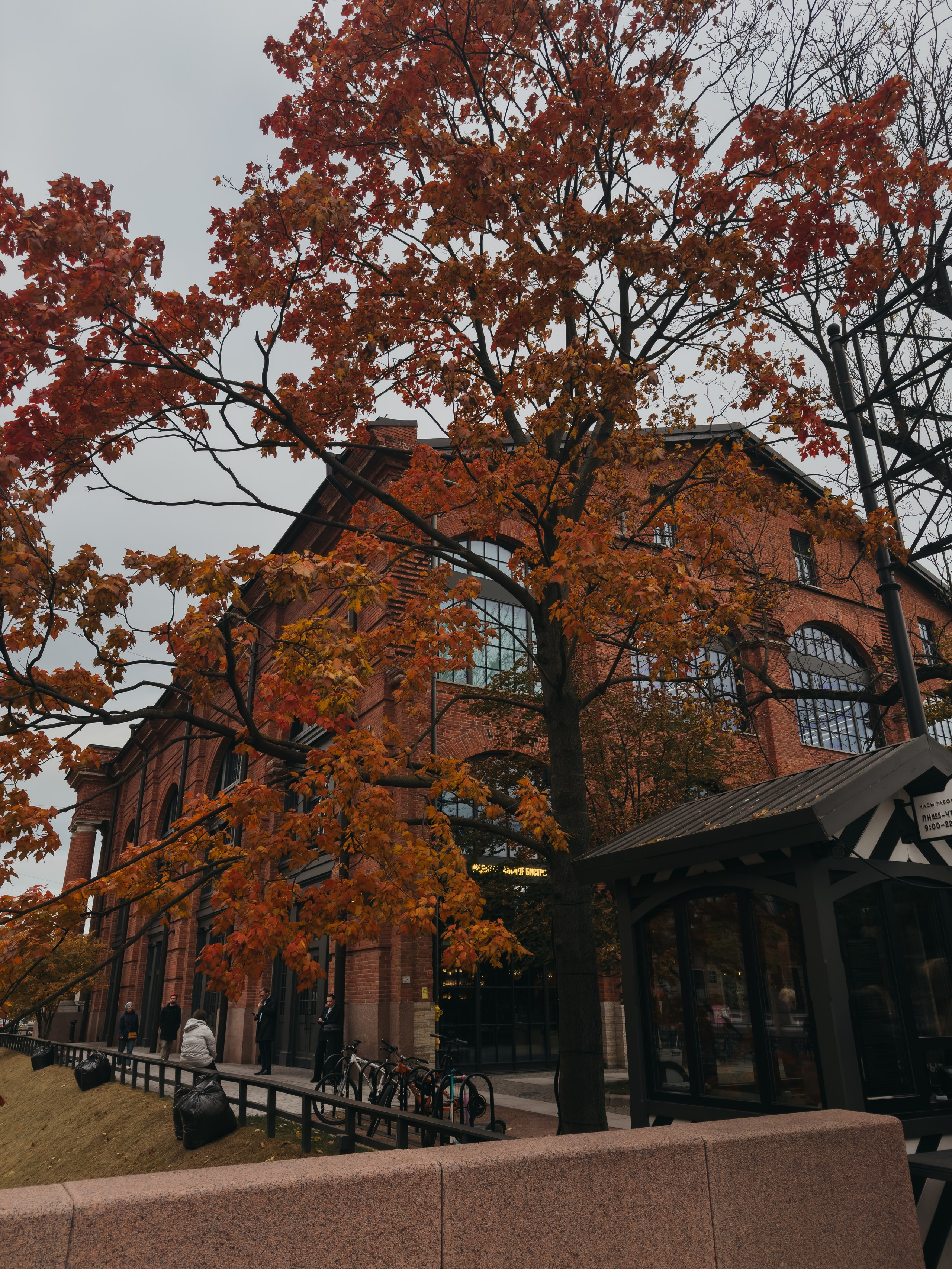 Пресеты. Контент креатор Алина Яхонт