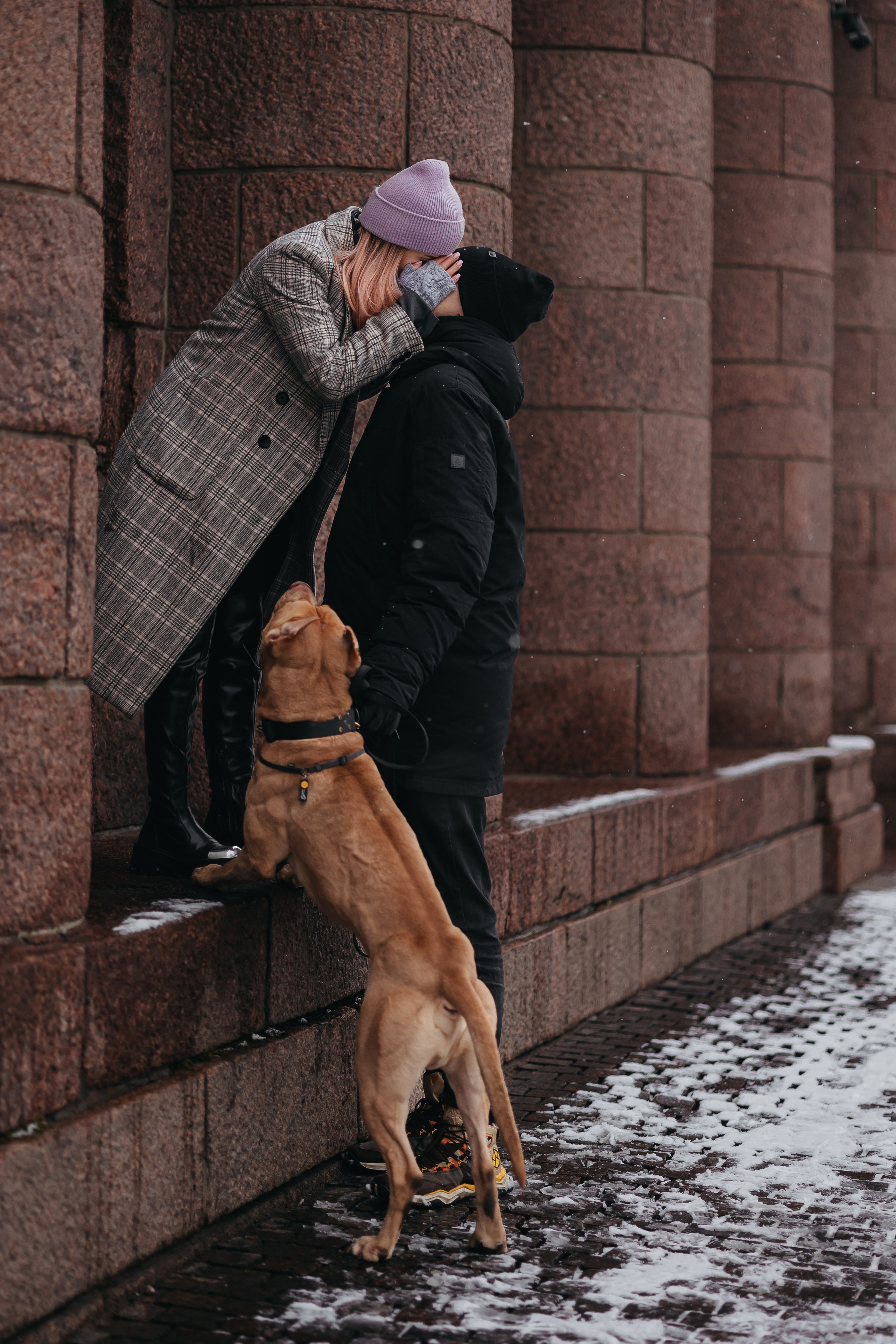 Саша, Света и Ицар. Фотограф-анималист в Санкт-Петербурге Алина Яхонт