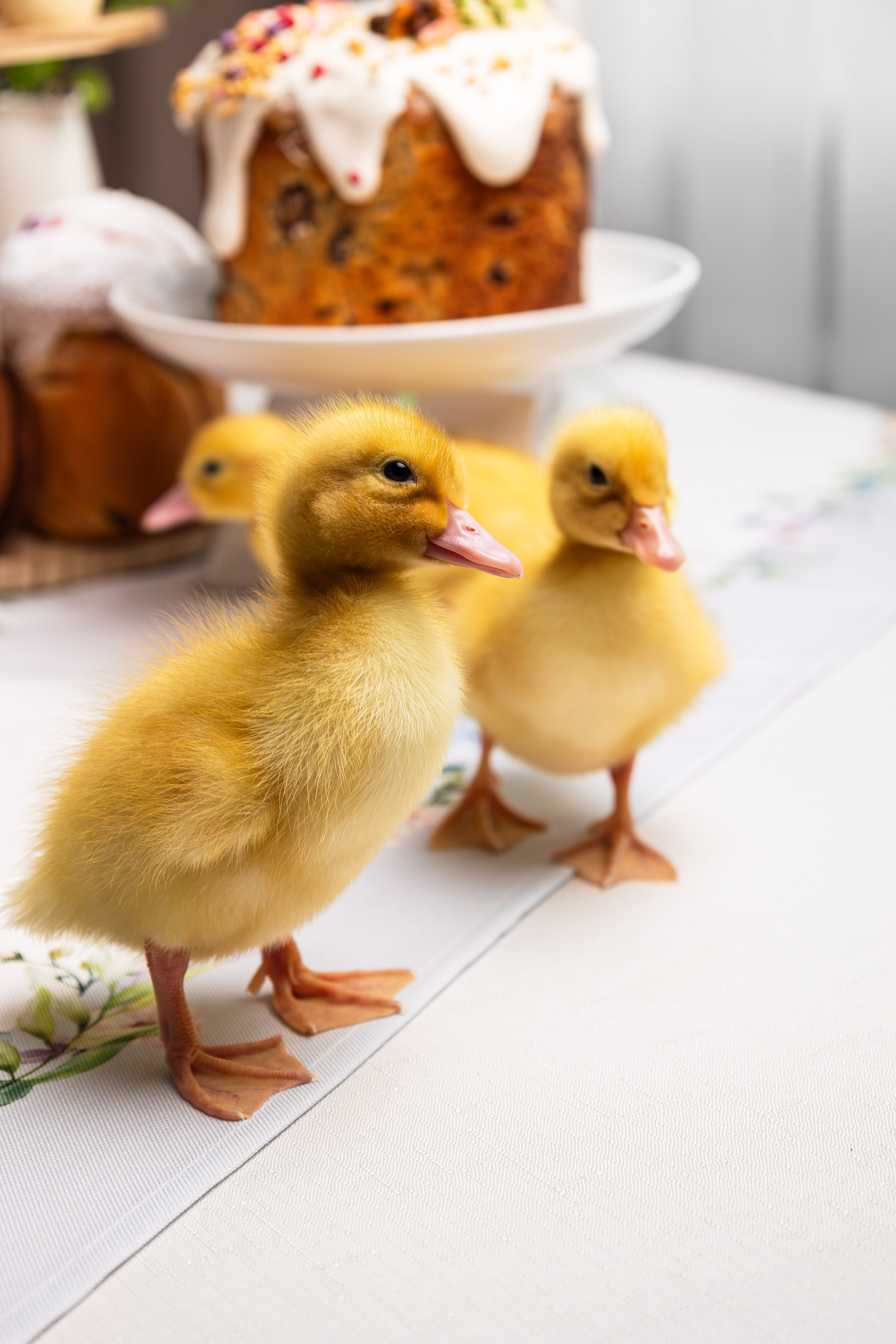 Утята в пасхальной композиции