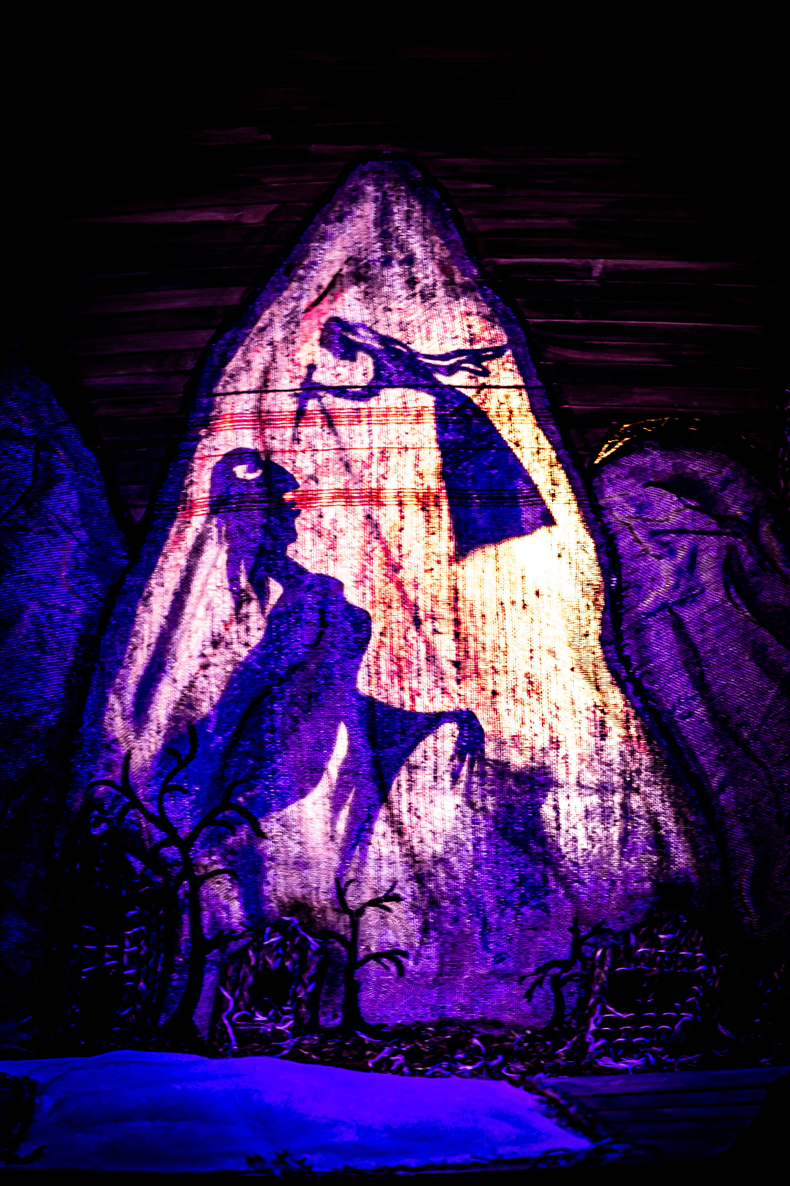 Легенды о Сочи Саквояж. Фотограф в Сочи Юрий Шептаев