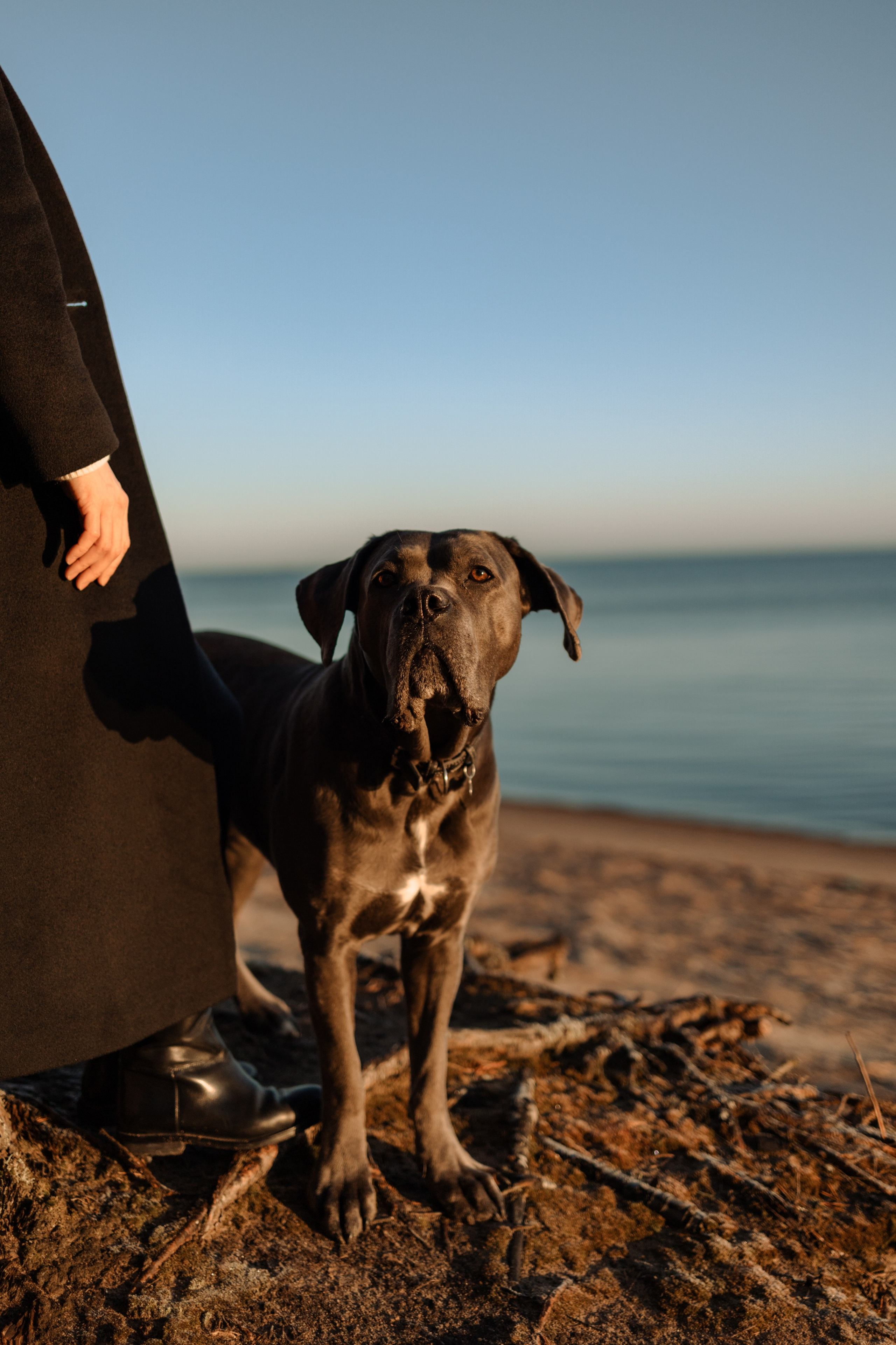 Анна и Лана. Фотограф — Анималист | Санкт-Петербург