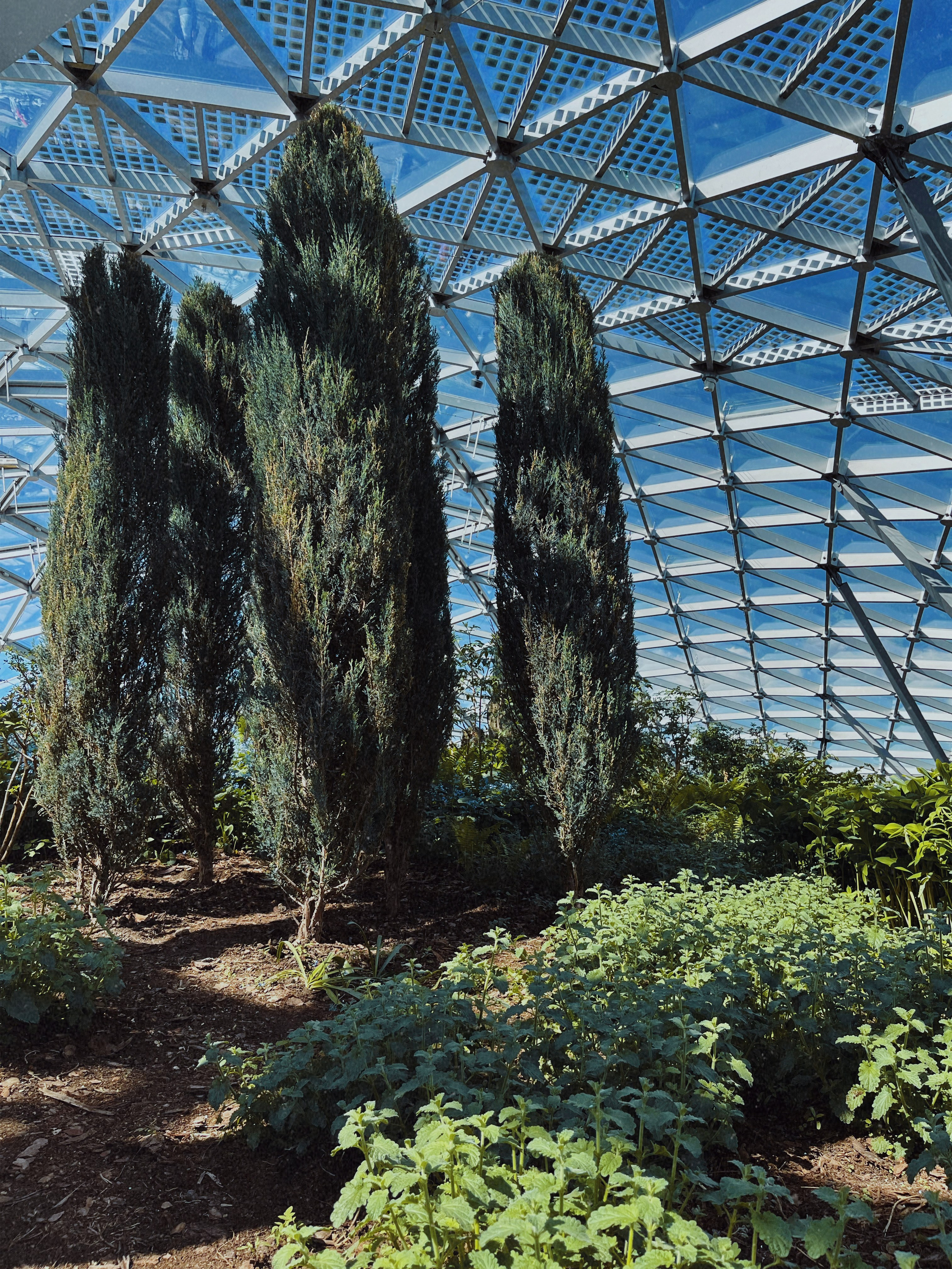 Визуальный дневник. Портретный фотограф в Москве Гахраманова Екатерина