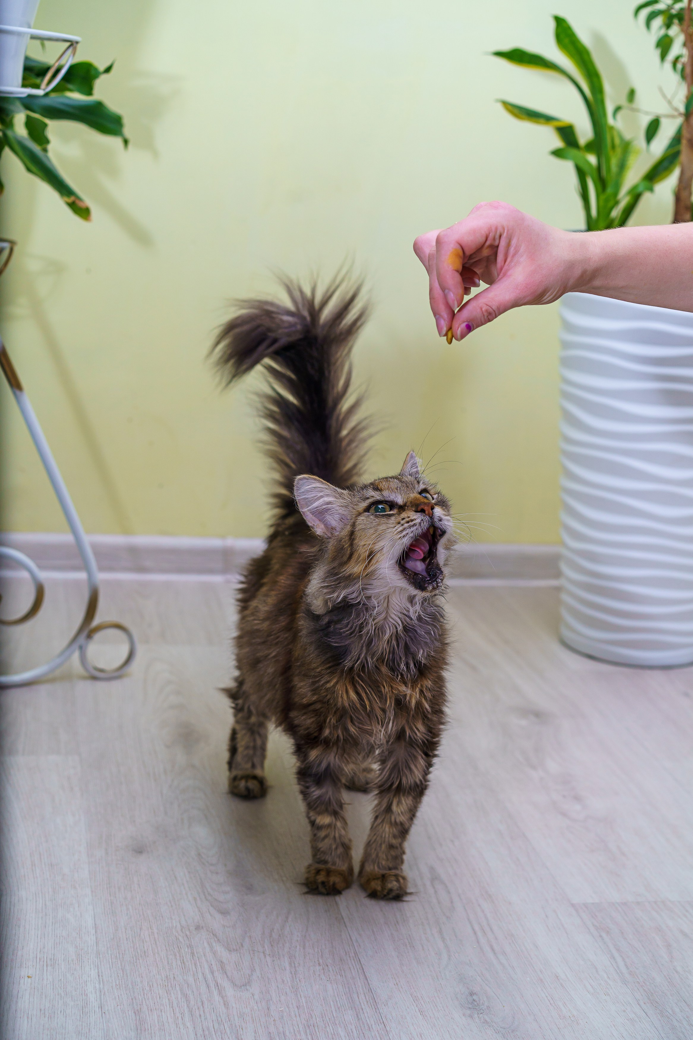 С животными. Фотограф Челябинск · Ольга Серебрякова