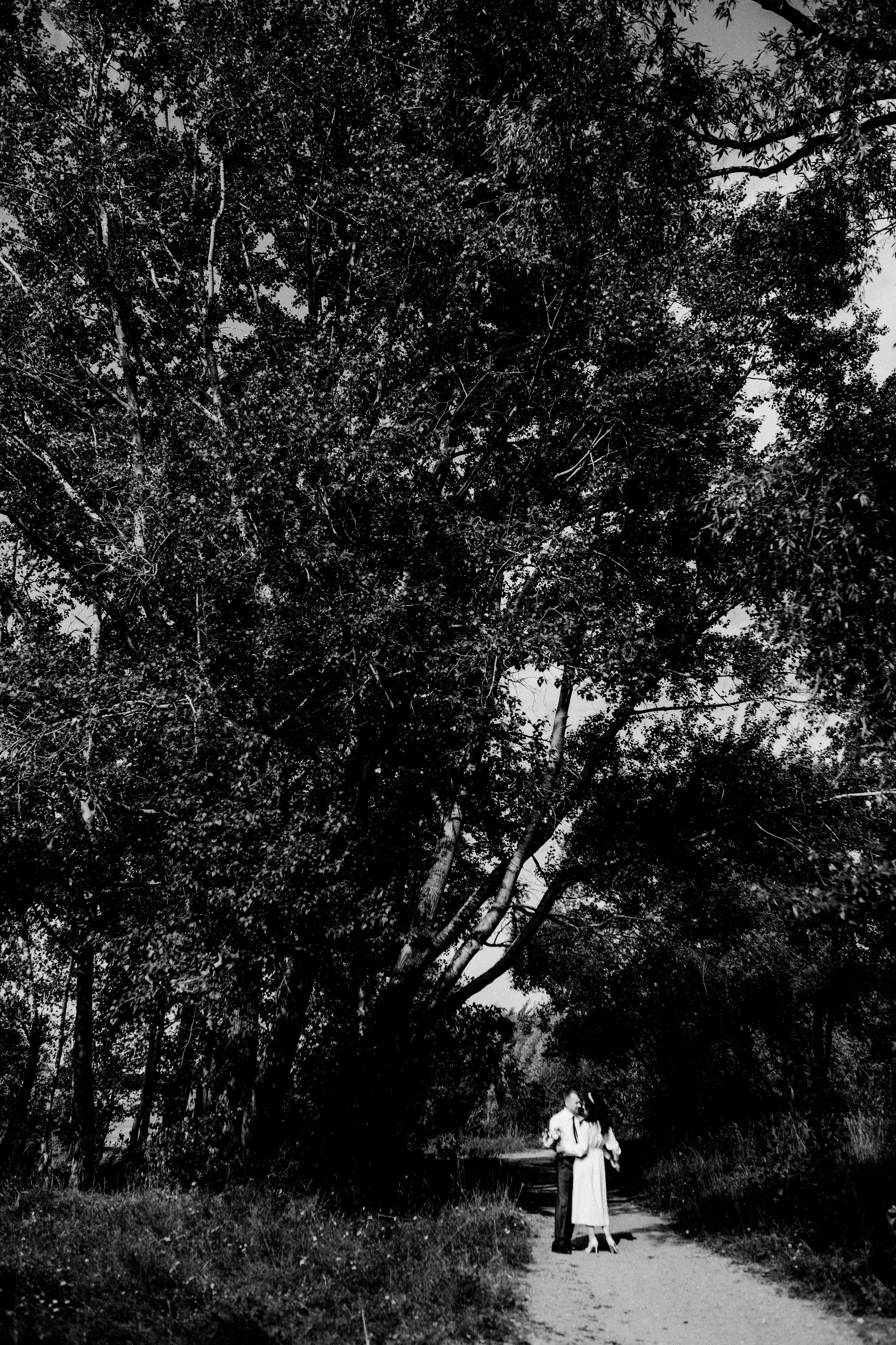 Wedding. Фотограф в Новосибирске Дарья Горнакова