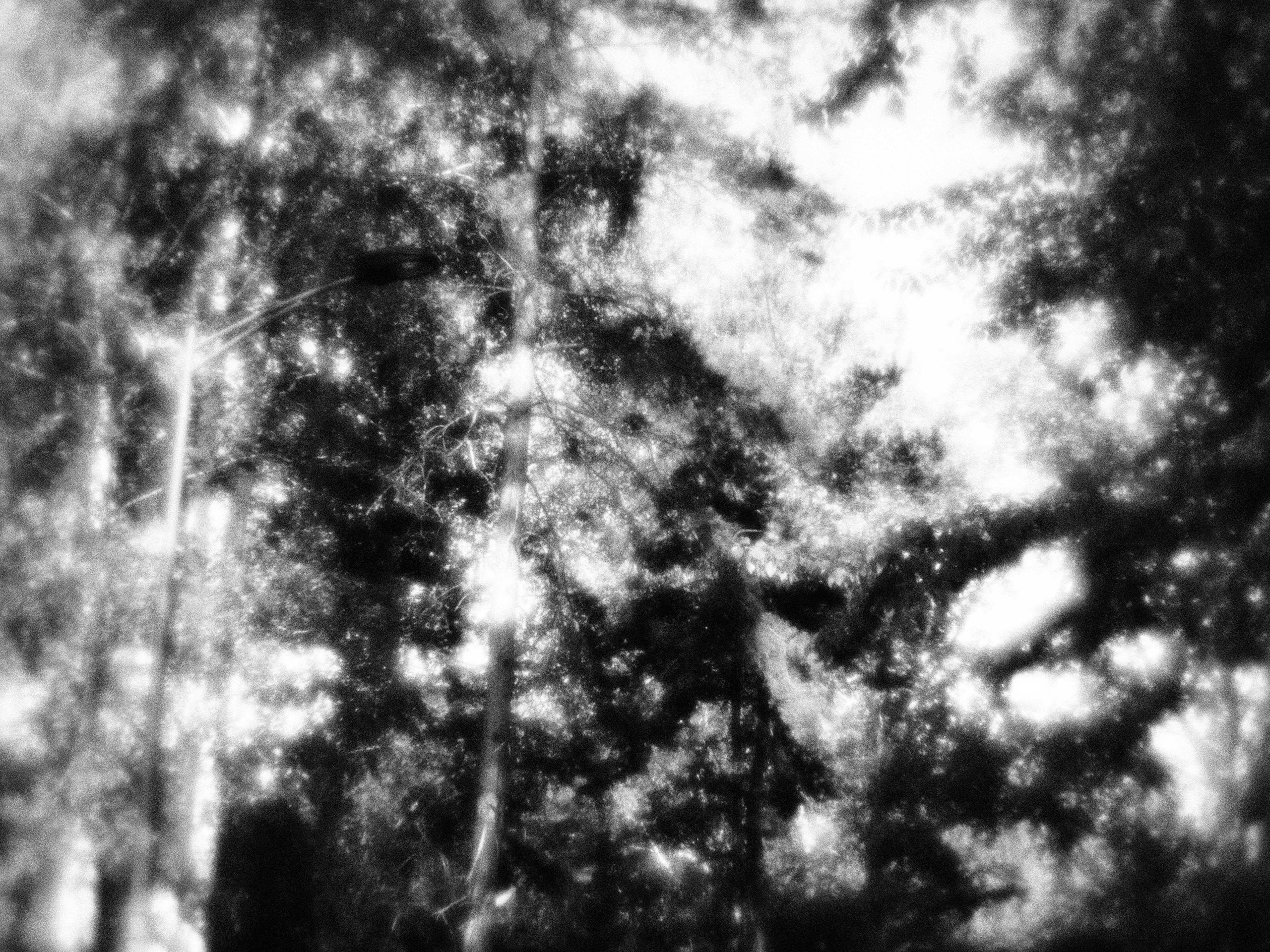 Внутривенные сны (2023)