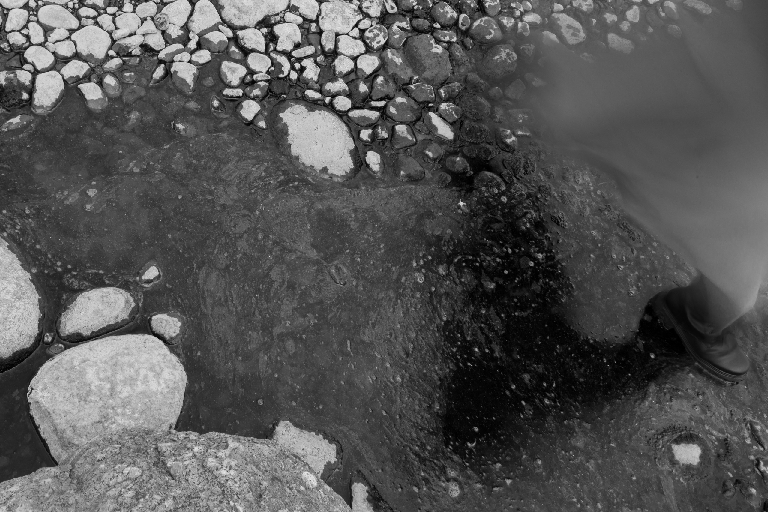 Эстетика П р о Я в л е н и я. Виноградова Маргарита. Фотограф P r o Явления