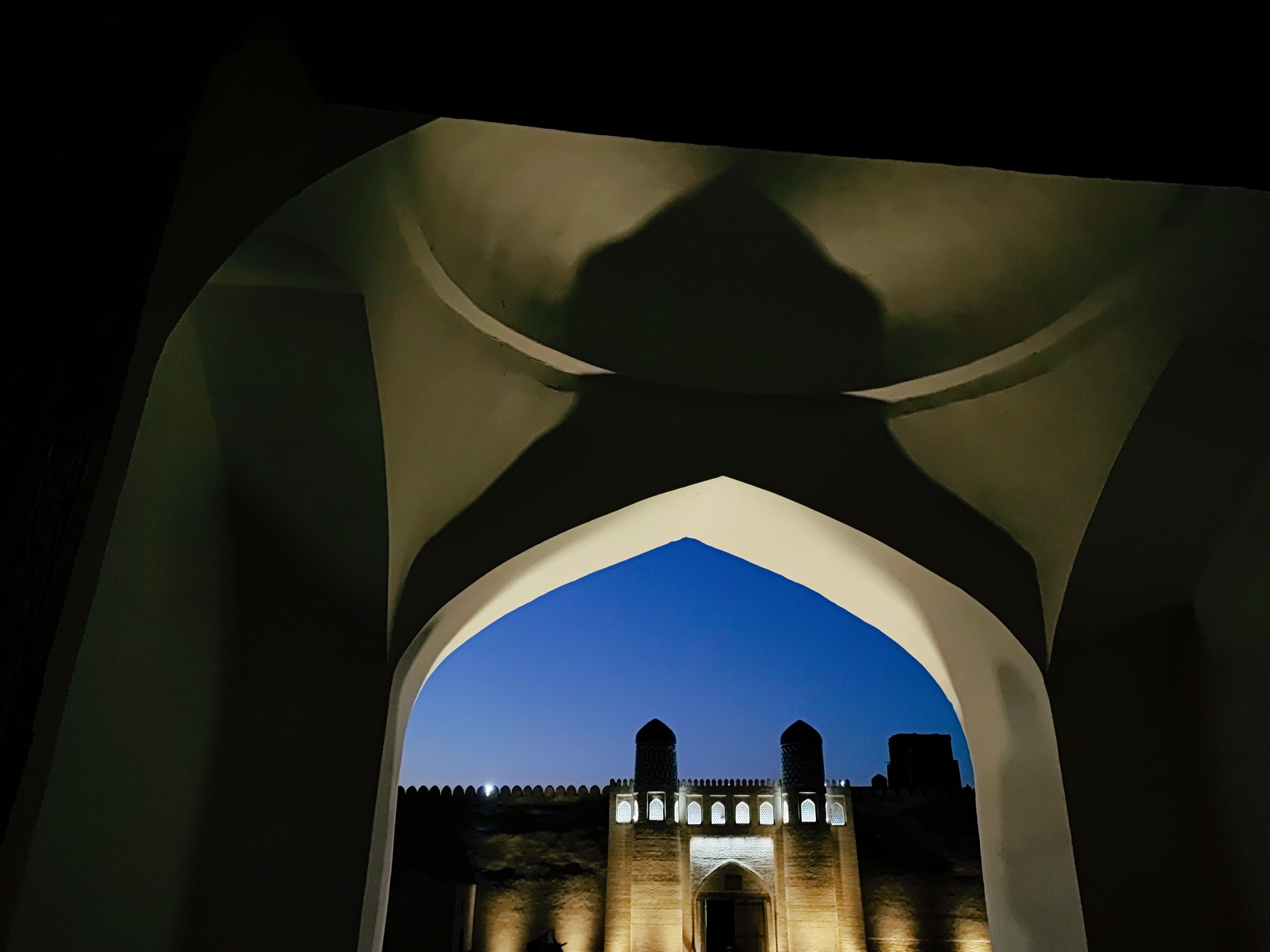 Намобилкус узбекский. Репортажный фотограф Алексей Пирязев